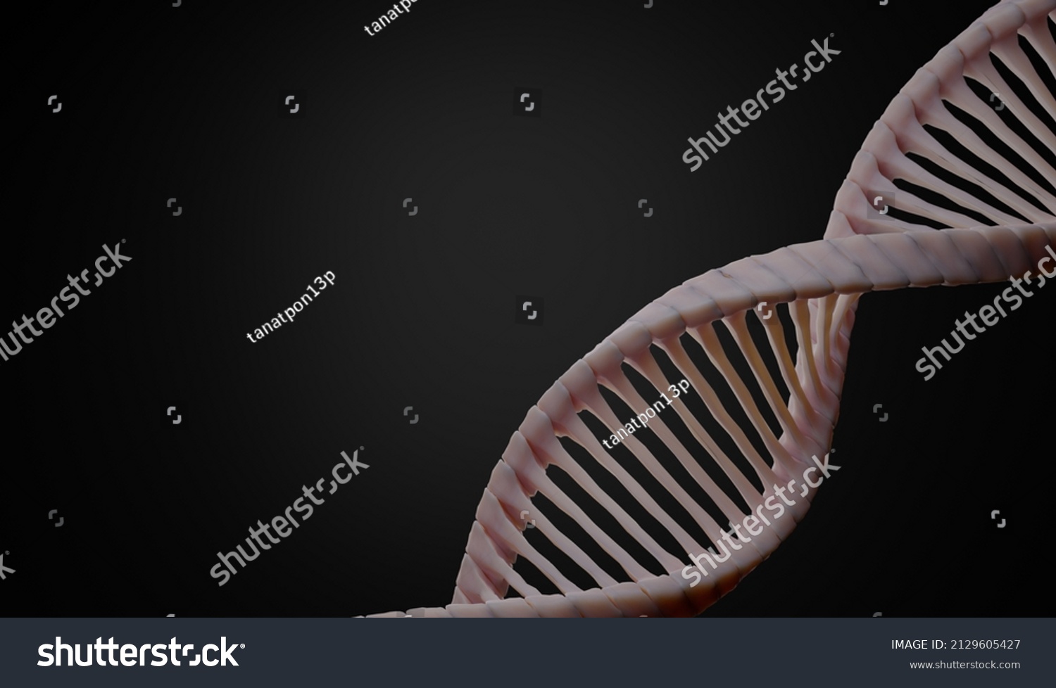 3d Render Helix Complementary Strand Dna Stock Illustration 2129605427