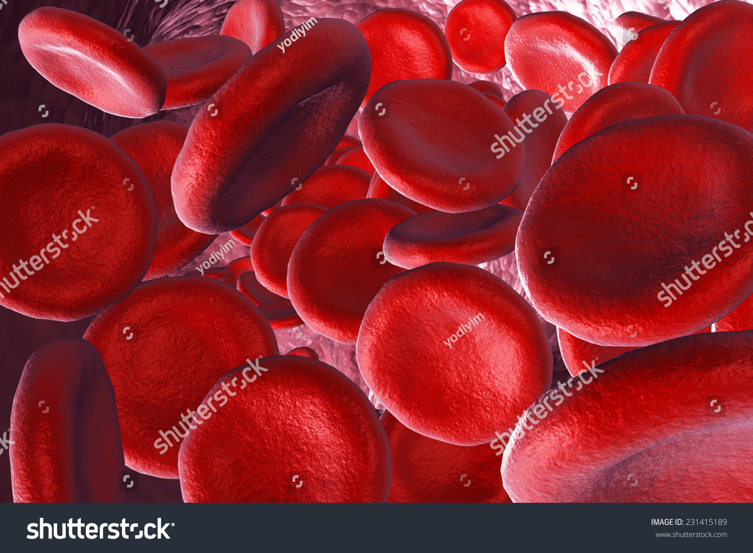 3D render red blood cells science and medical concept 3D render red blood cells science and medical concept