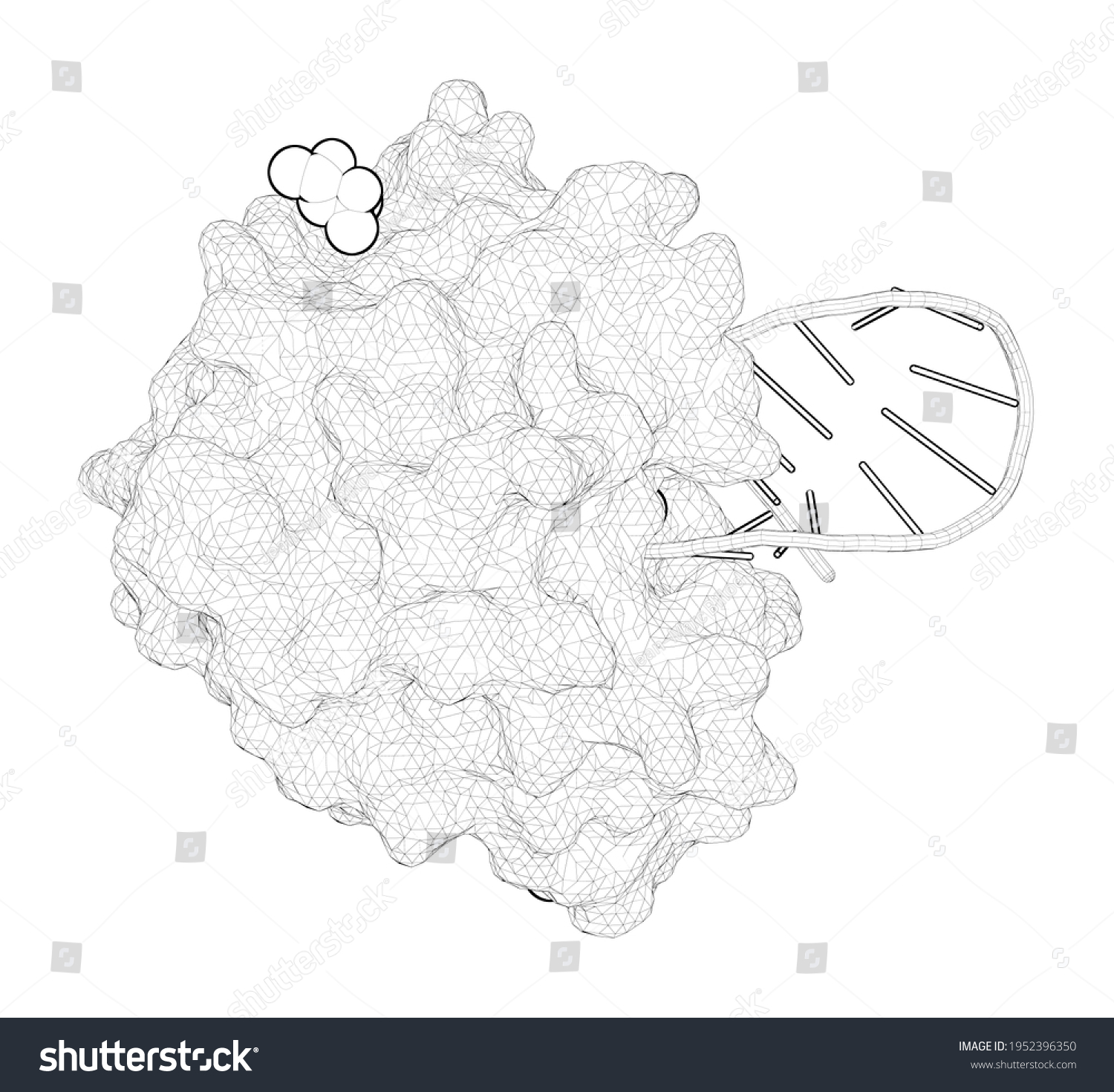 D Rendering Line Drawing Biological Molecule Stock Illustration