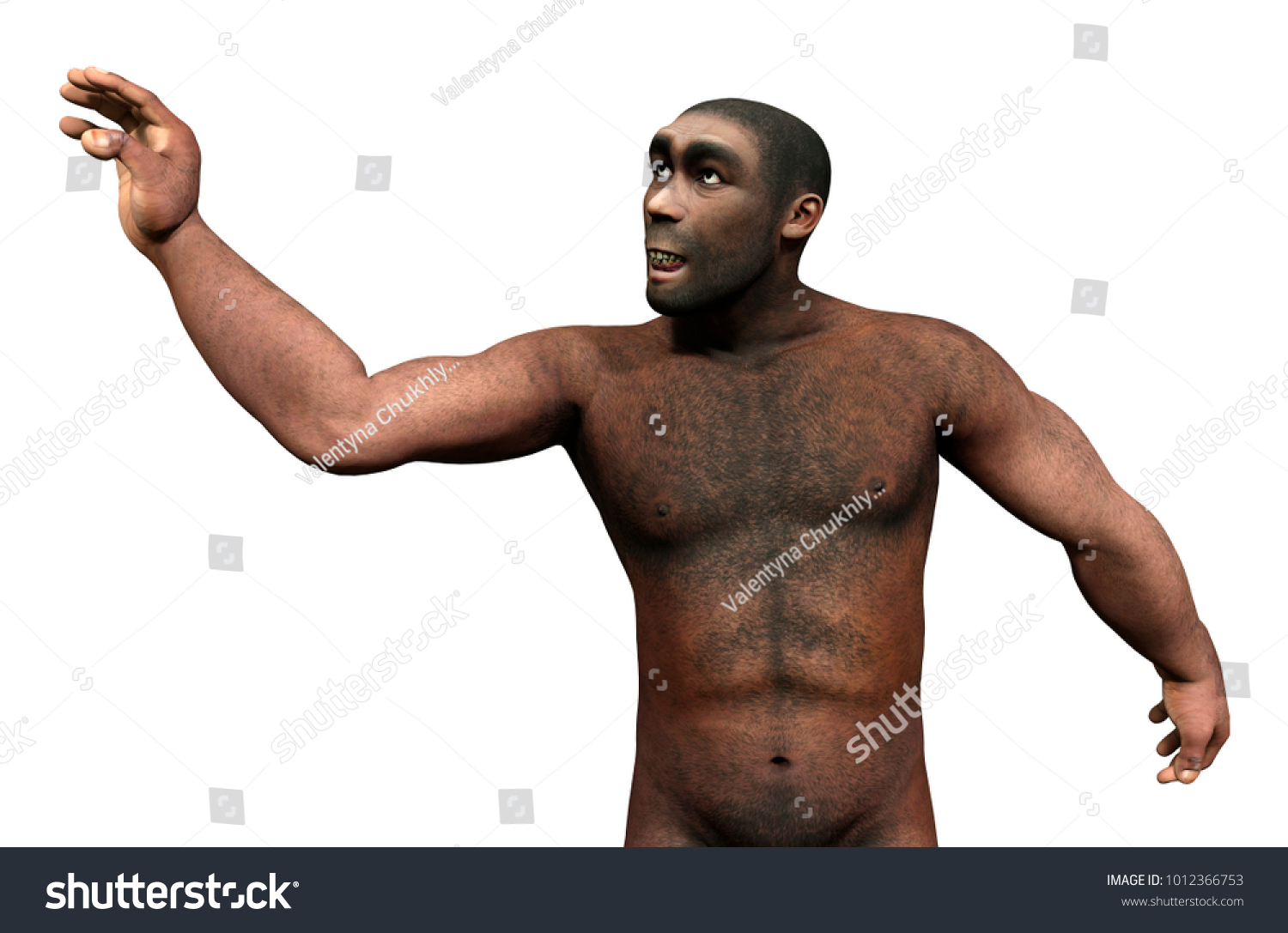 3d Rendering Male Homo Erectus Isolated Stock Illustration 1012366753