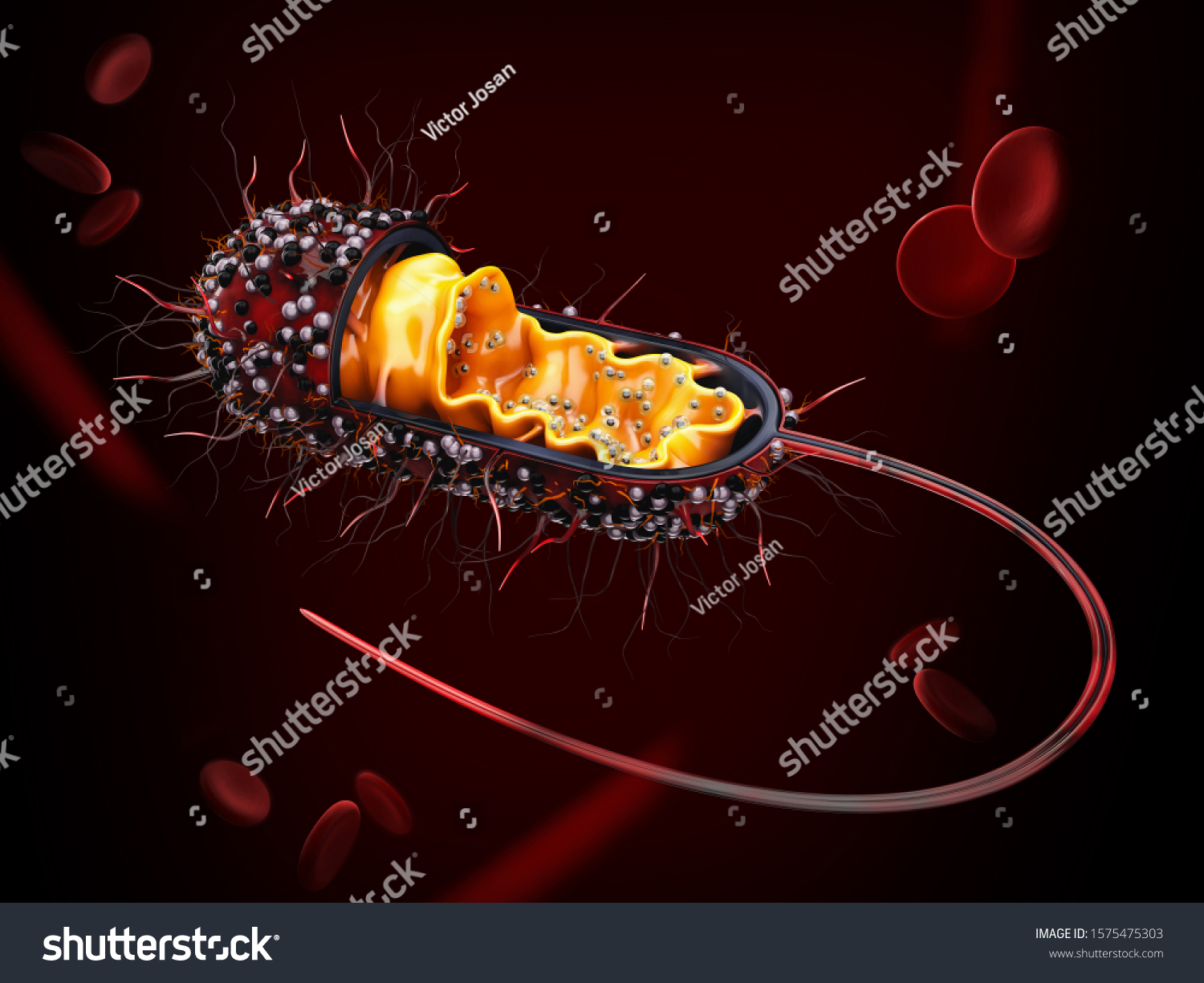 3d Rendering Structure Bacterial Cell Clipping Stock Illustration