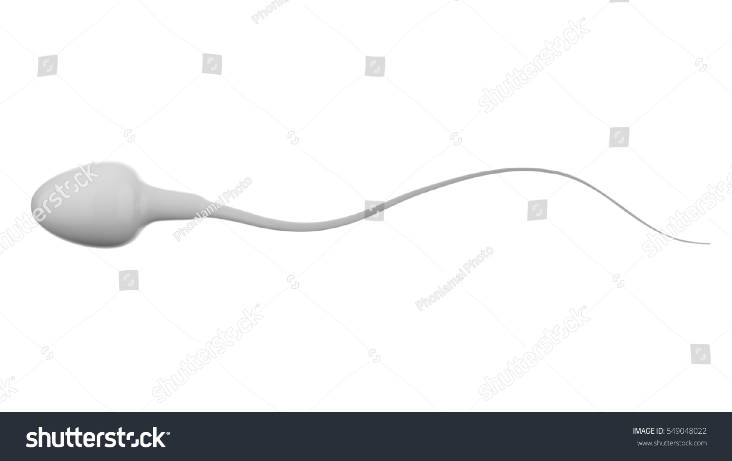 Free pics of girls being fucked first time losing virginity Caucasian sperm competition