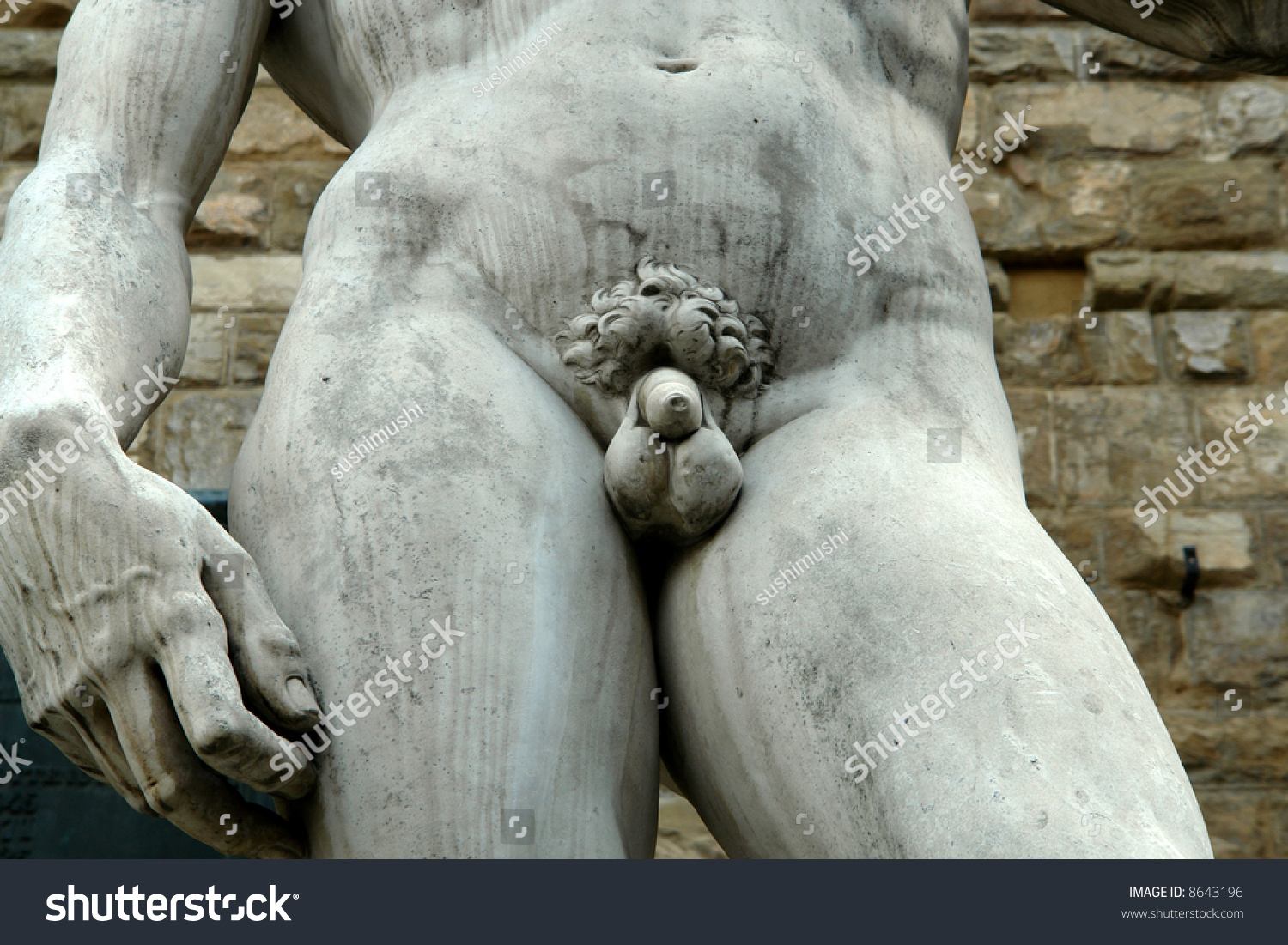 David Statue Penis 110