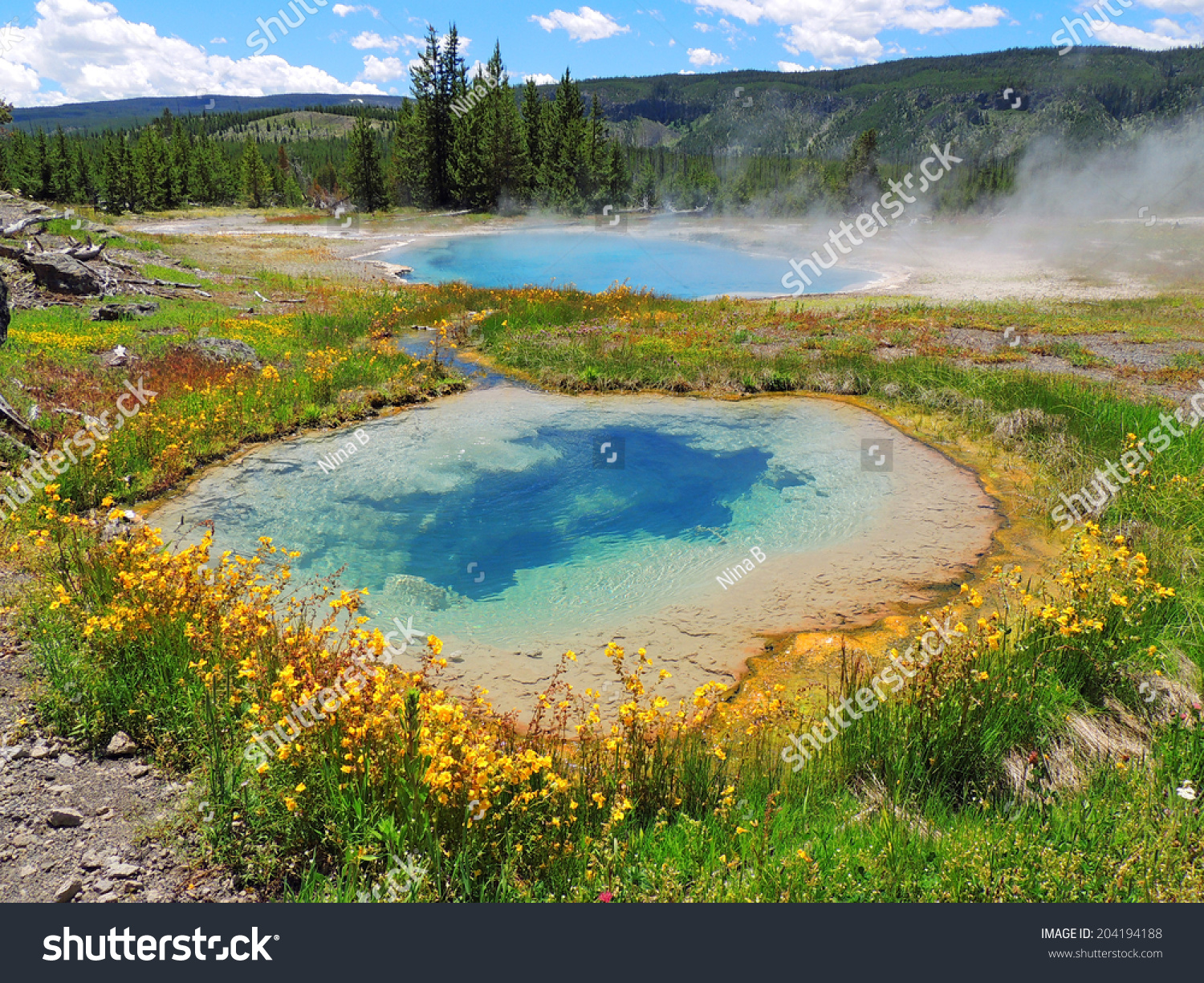 Gem Pool Pinto Spring Cascade Geyser Stock Photo 204194188 - Shutterstock