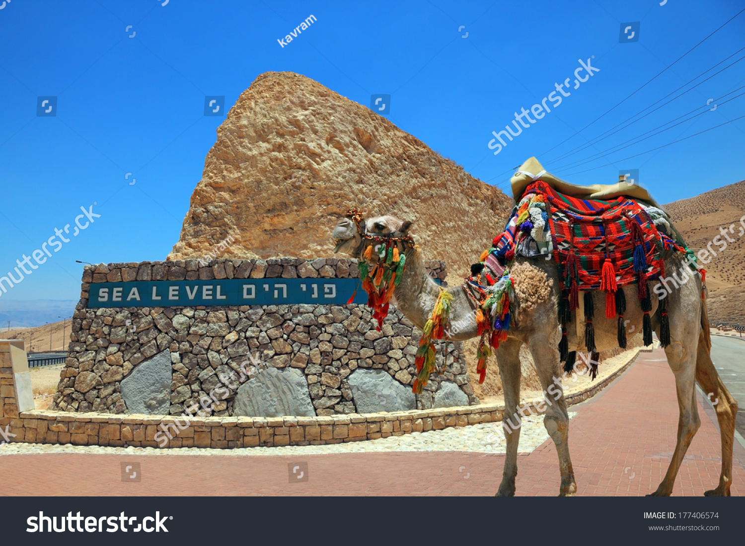 Essay on camel the ship of the desert