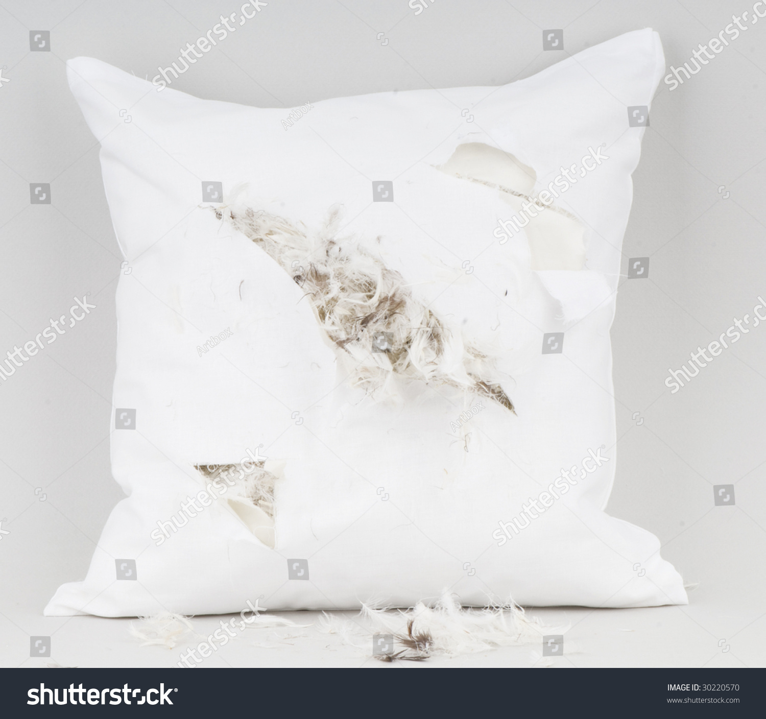 How To Fix A Broken Pillow at Jesus Heffernan blog