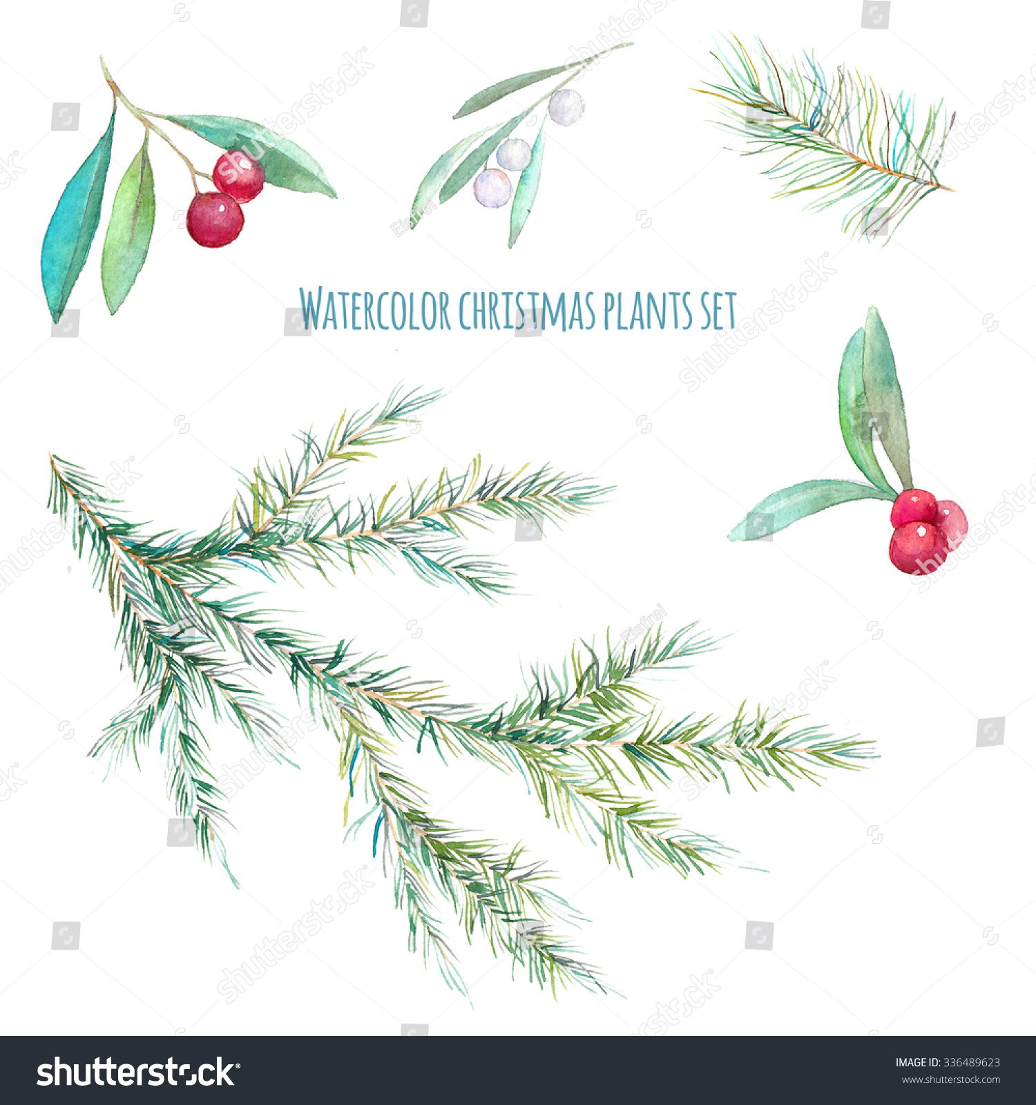 watercolor christmas plants set hand drawn holly branch watercolor christmas plants set hand drawn holly branch