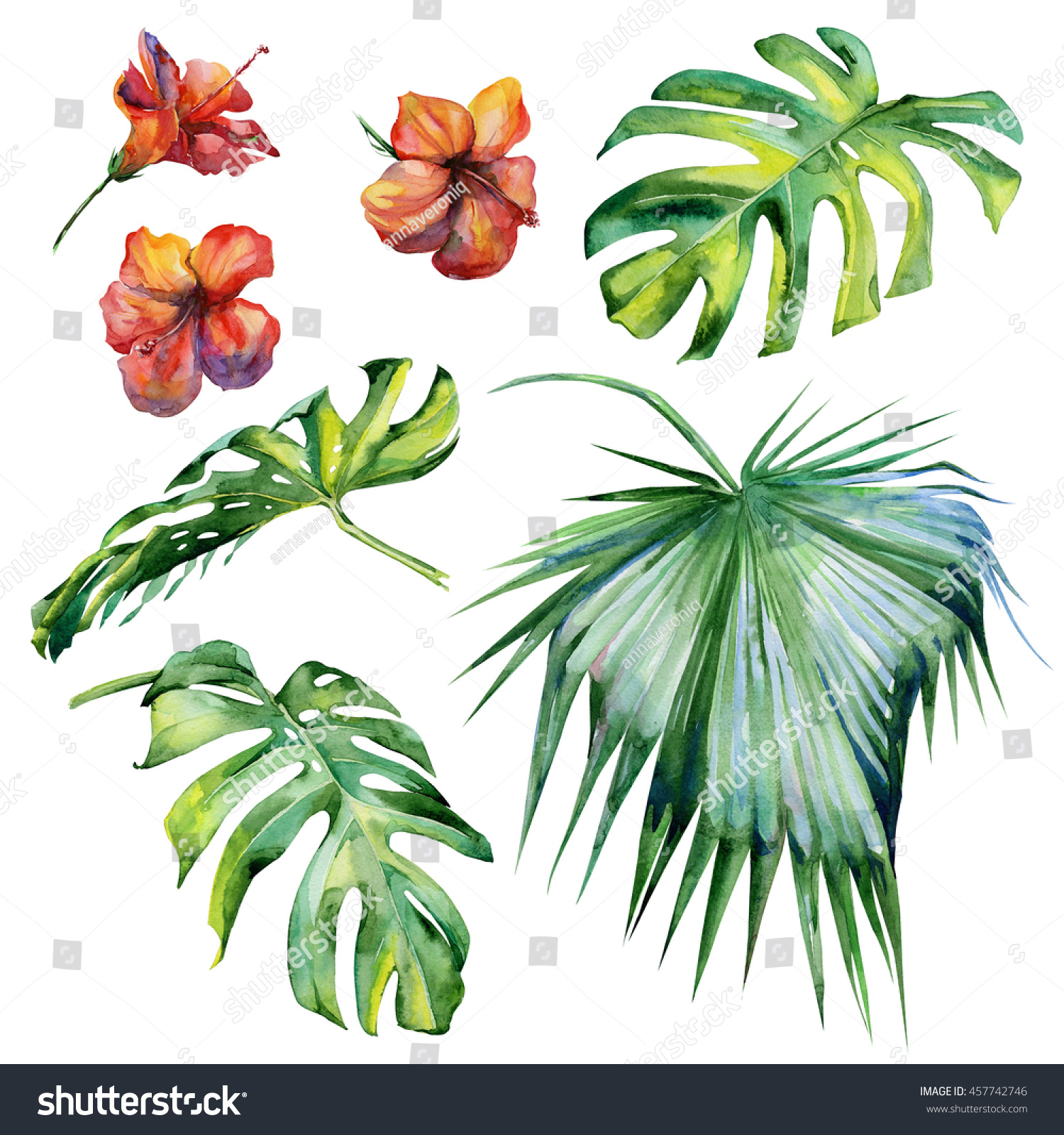 Watercolor illustration set of tropical leaves dense jungle Hand painted Banner with tropic summertime motif may be used as background texture wrapping paper textile or wallpaper design Watercolor illustration set of tropical leaves dense jungle Hand painted Banner with tropic summertime motif may be used as background texture wrapping paper textile or wallpaper design