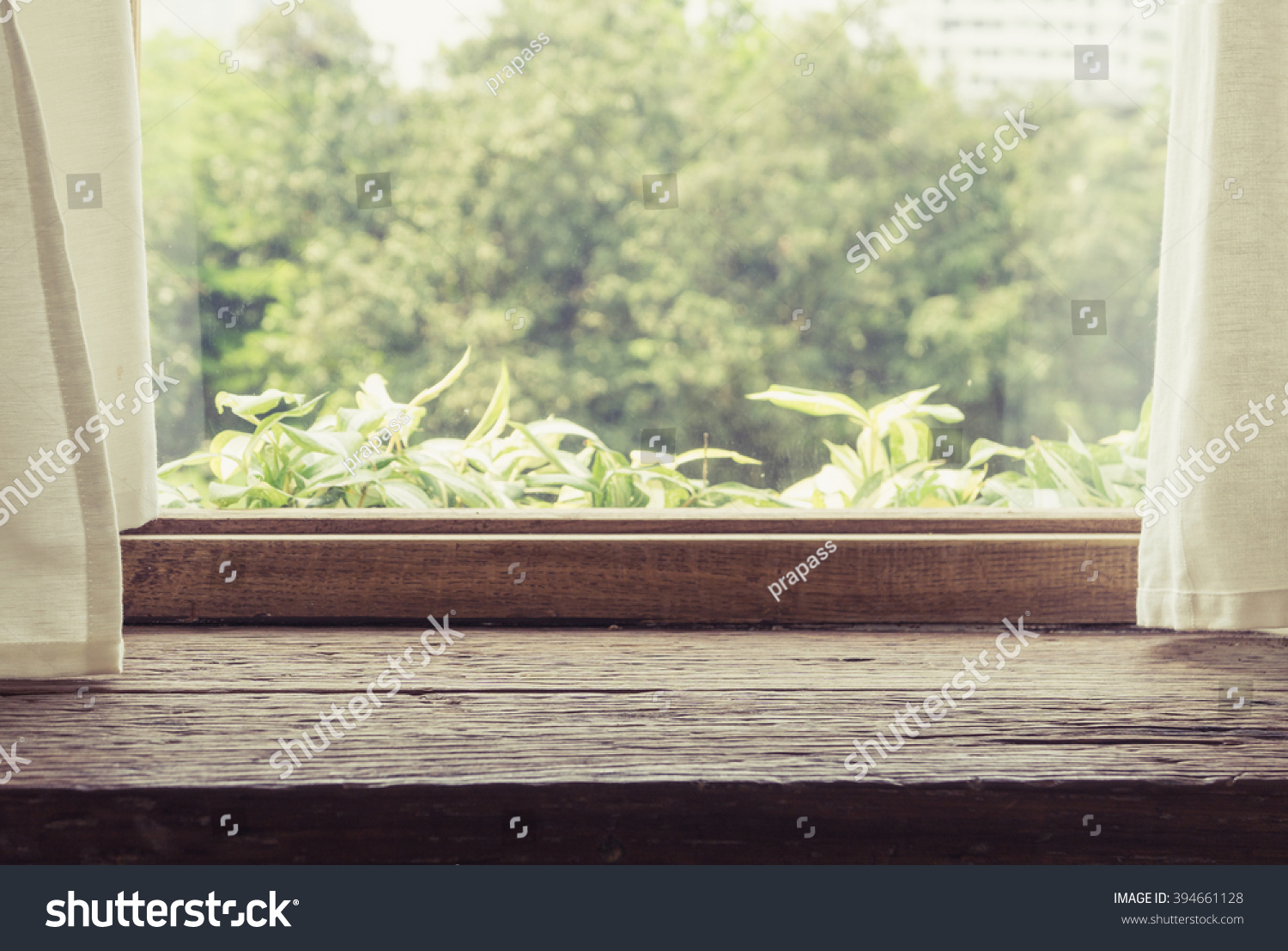 素材旁边的窗帘木桌和白色的窗户-长发/女孩,室一个木头从背景到短发图片