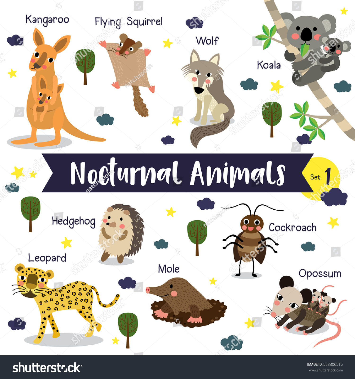 clipart of nocturnal animals - photo #39