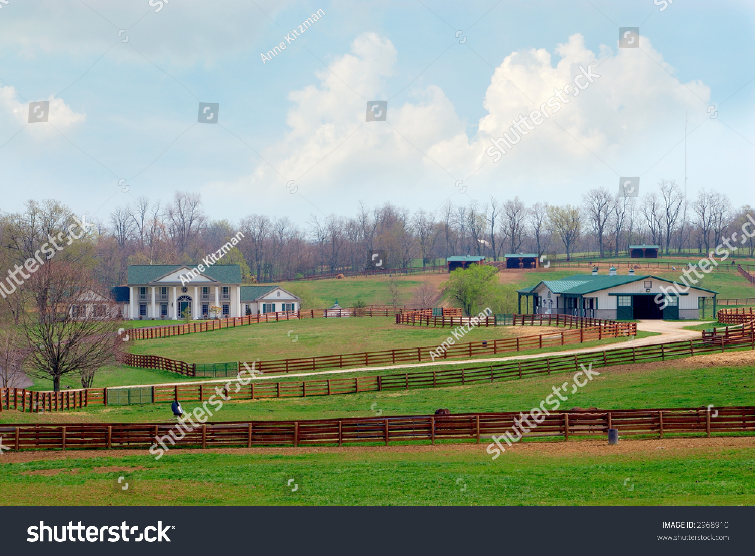 A Beautiful Horse Ranch Near Lexington Kentucky Usa. Stock Photo 2968910 : Shutterstock