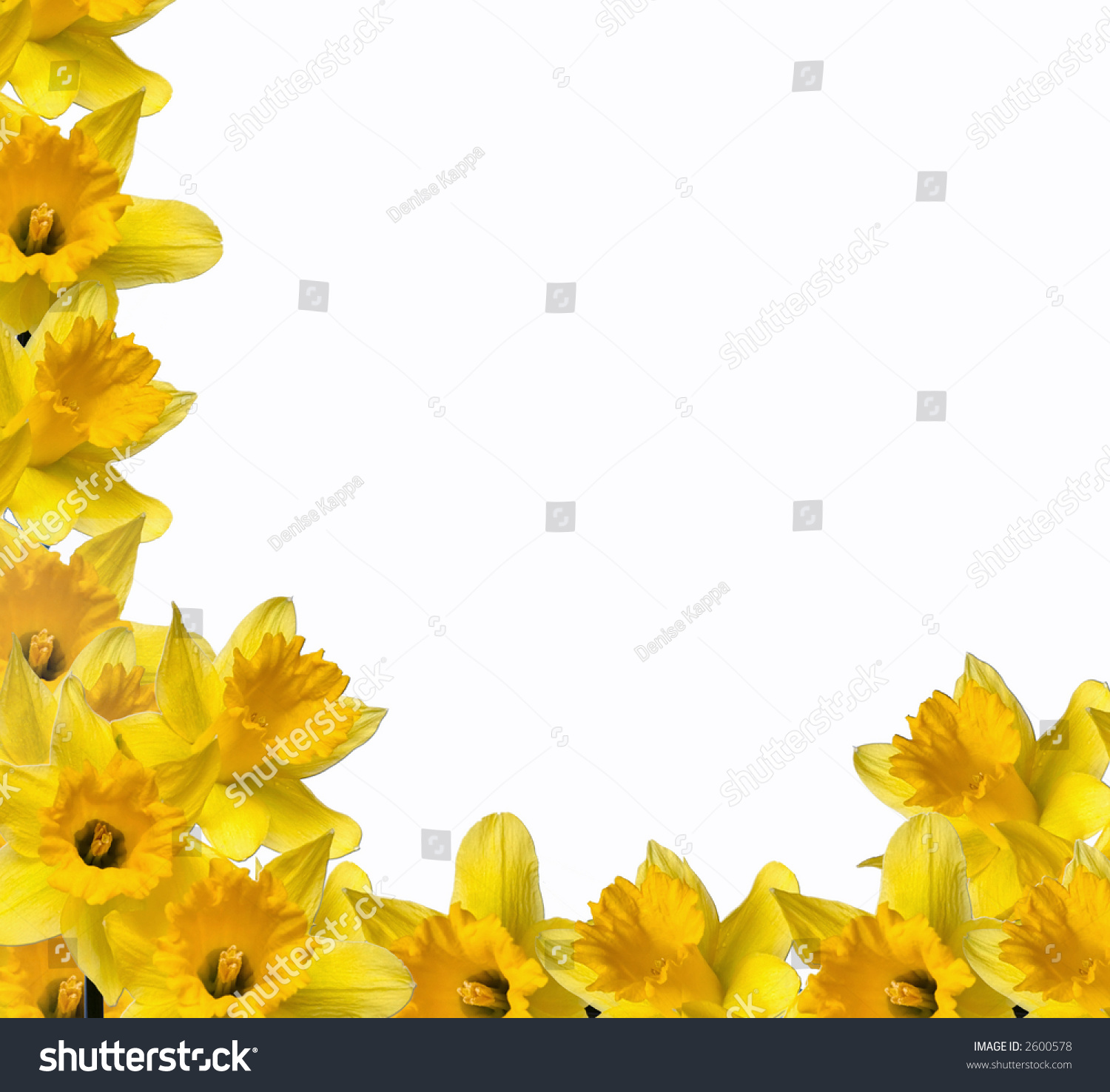 free clip art daffodil border - photo #48