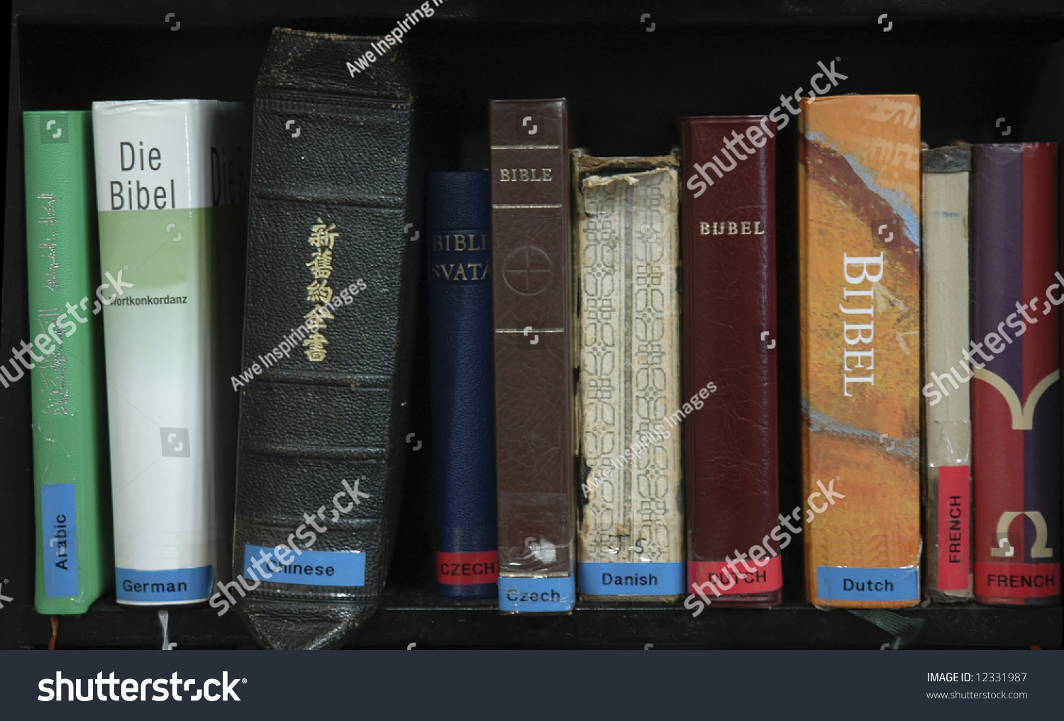 a-collection-of-holy-bibles-in-many-different-languages-stock-photo