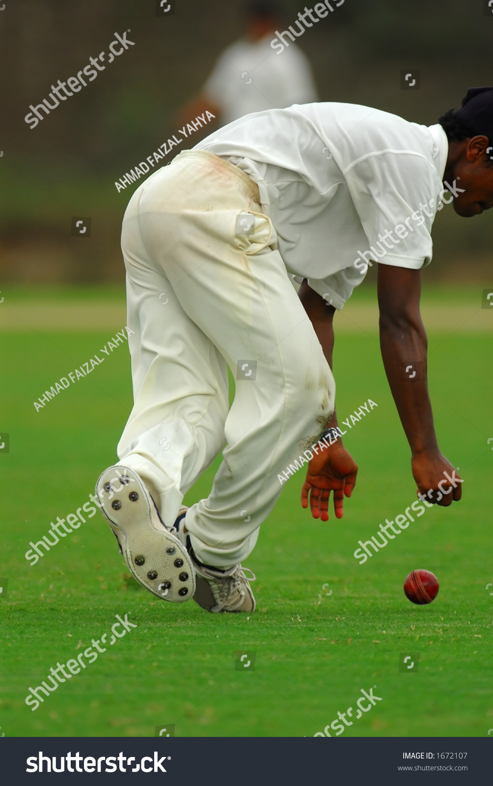 A Cricket Catcher Trying To Catch A Cricket Ball. Stock Photo 1672107