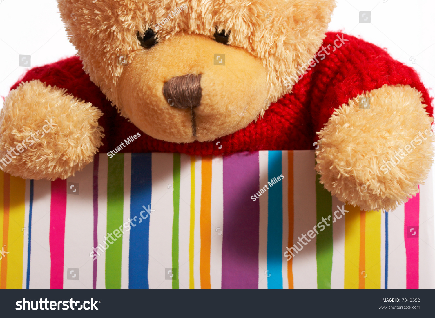 teddy bear inside material