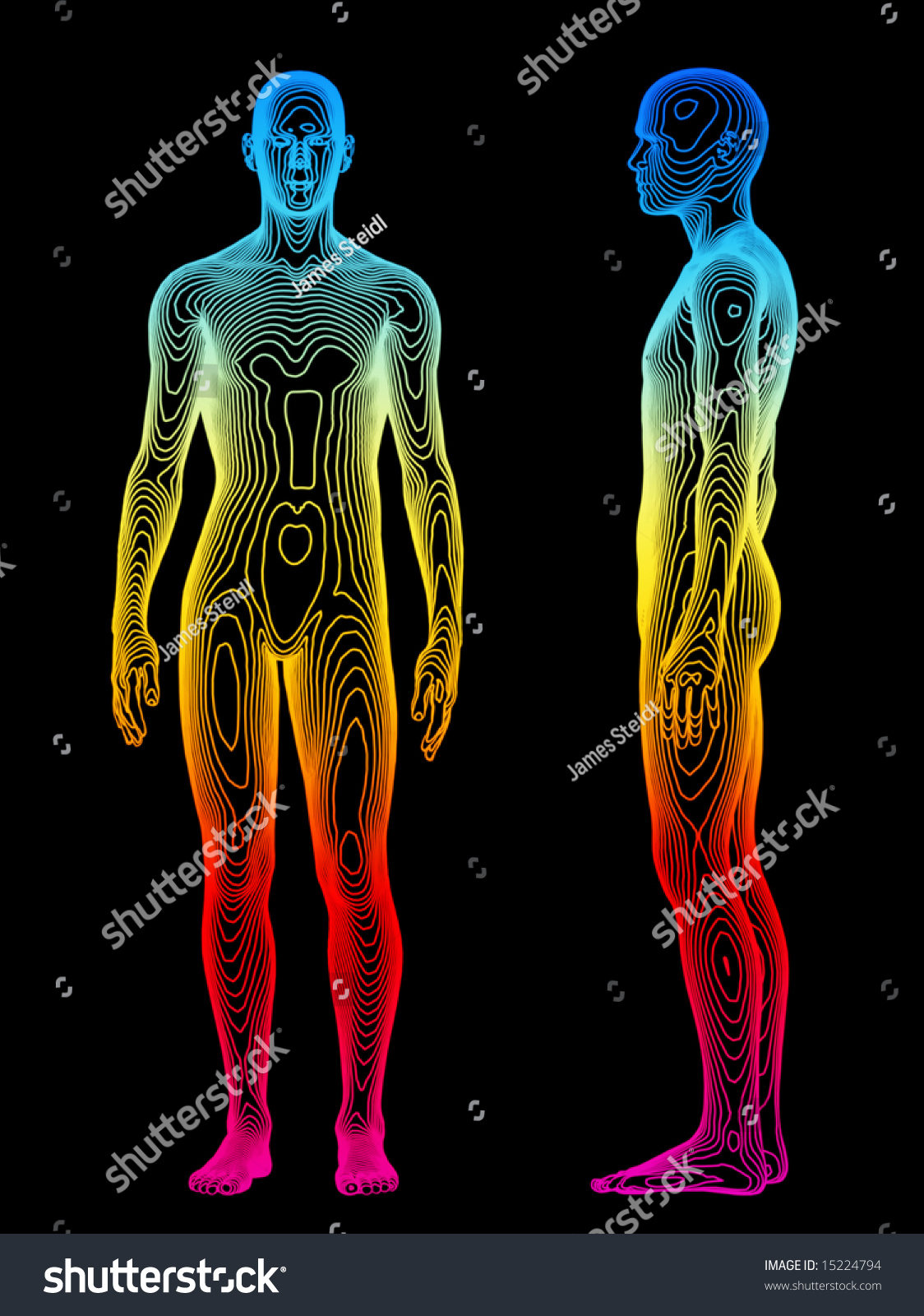 A Medical Concept Of The Human Body Stock Photo 15224794 : Shutterstock