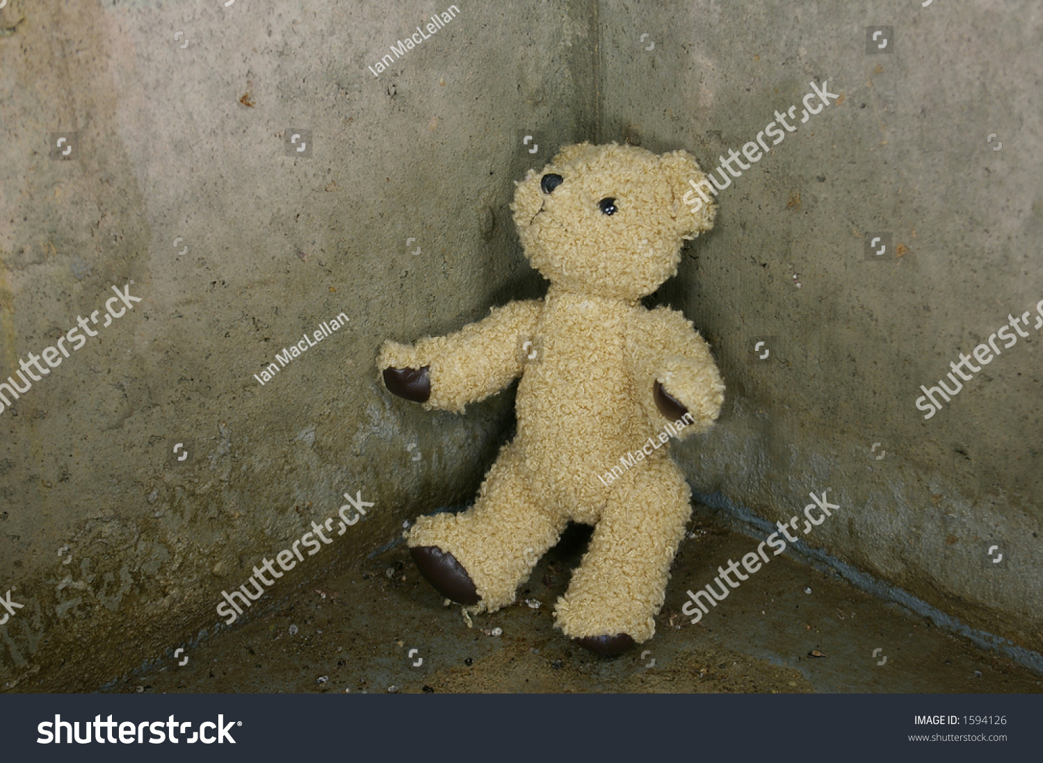 sad bear plush