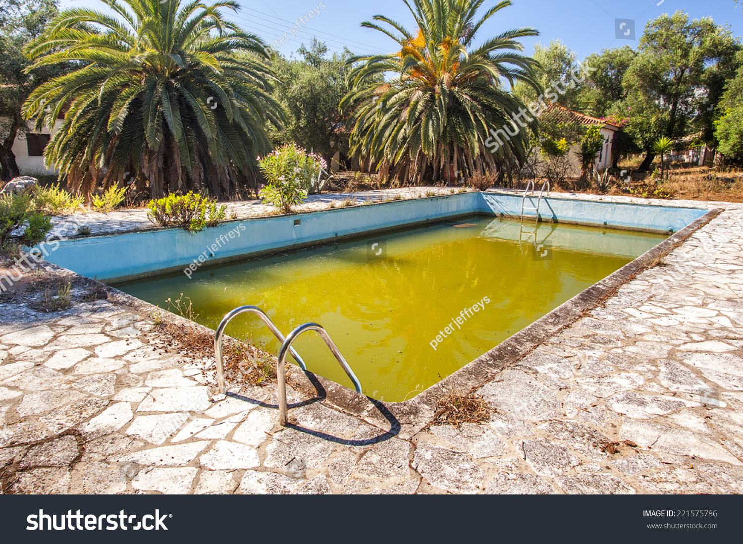 pool suddenly turned green