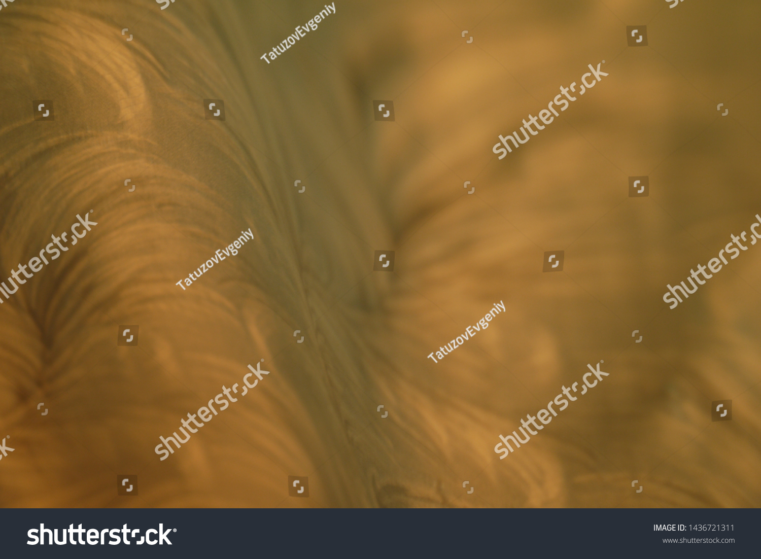 Abstract Green Yellow Background Stock Photo Shutterstock