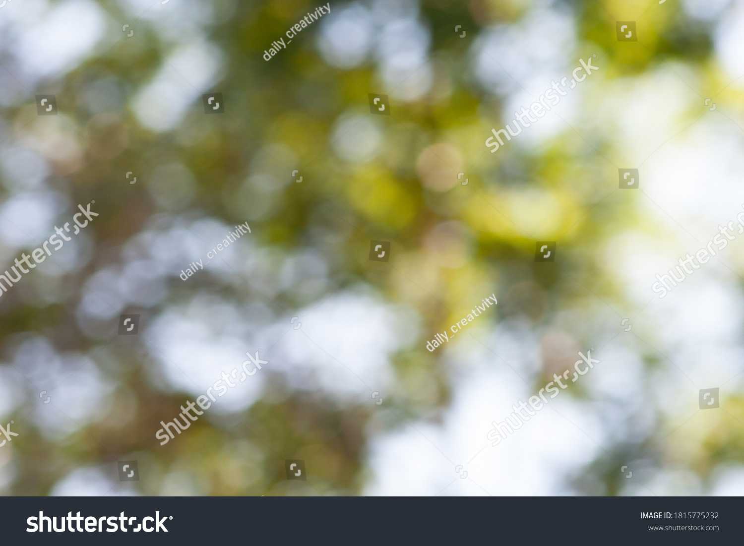 Abstract Green Forest Background Bokeh Nature Stock Photo