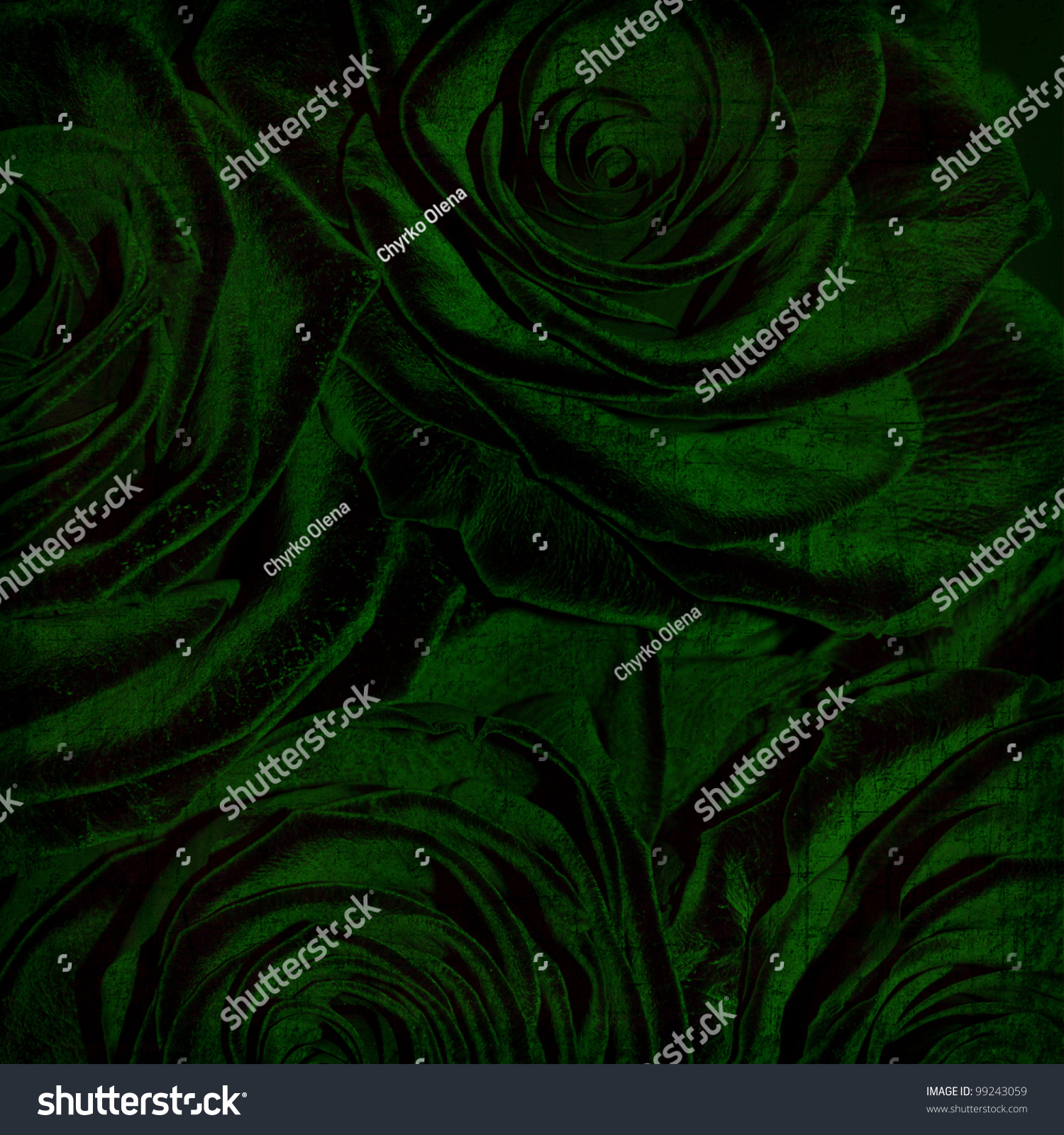 Abstract grunge textured background with green roses for the cover design or photo album pages Abstract grunge textured background with green roses for the cover design or photo album pages