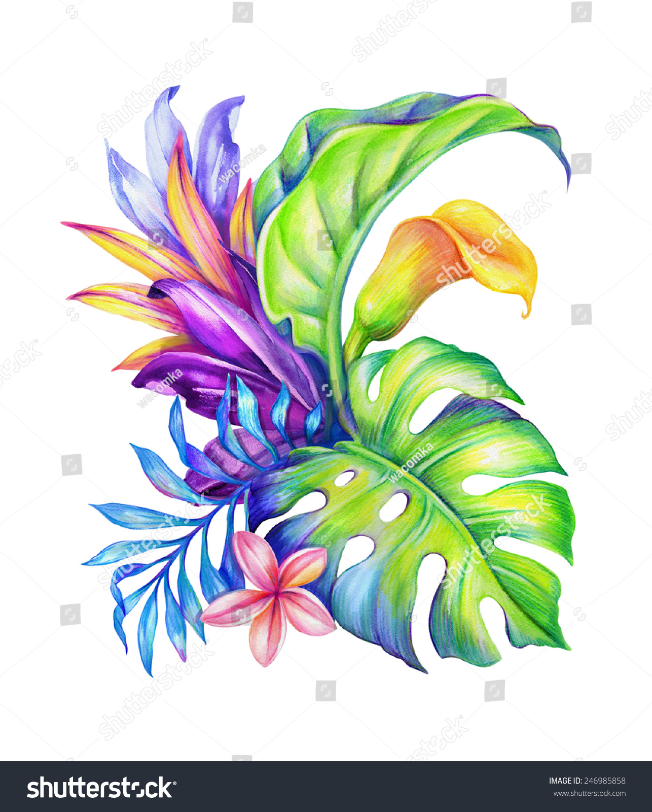 Abstract Jungle Nature Exotic Flowers And Leaves Watercolor