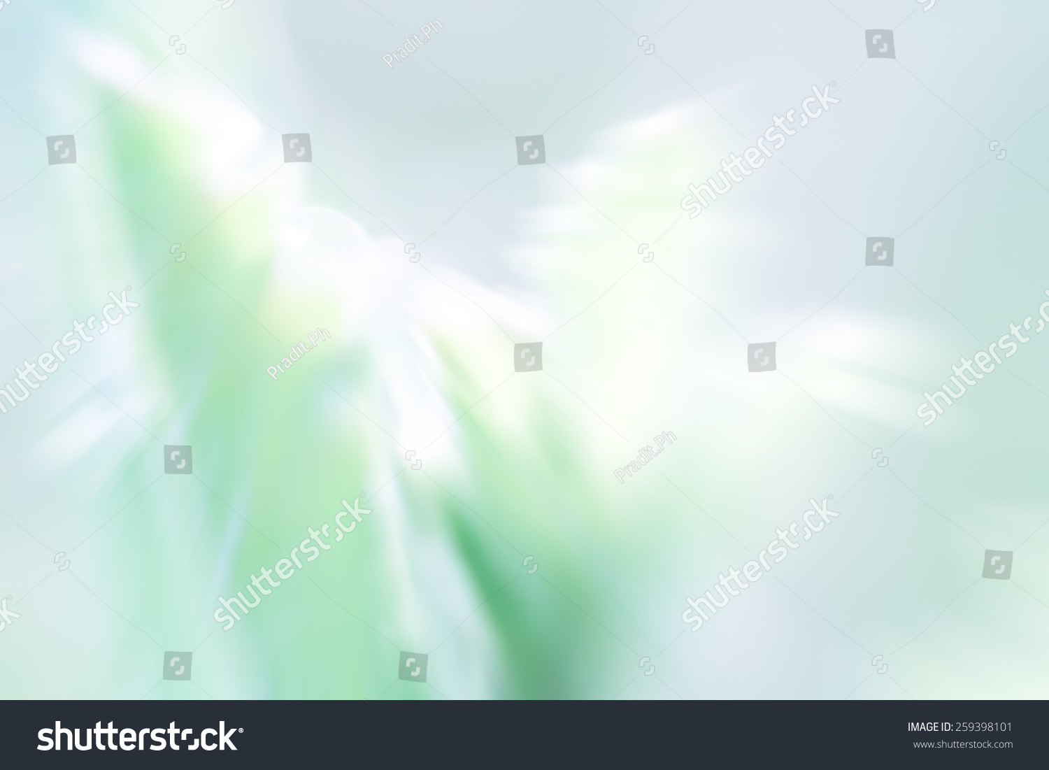 Abstract Nature Blur Background Stock Photo 259398101 : Shutterstock