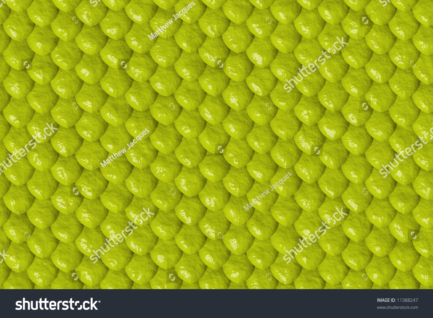 Reptile Skin Background Of Yellow Lizard Abstract Yellow Lizard Reptile Skin Background Texture