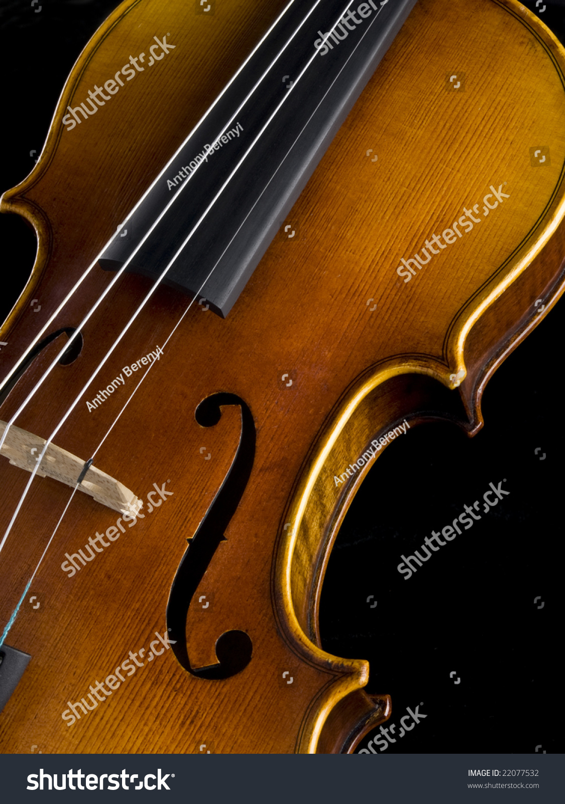 violin body shape