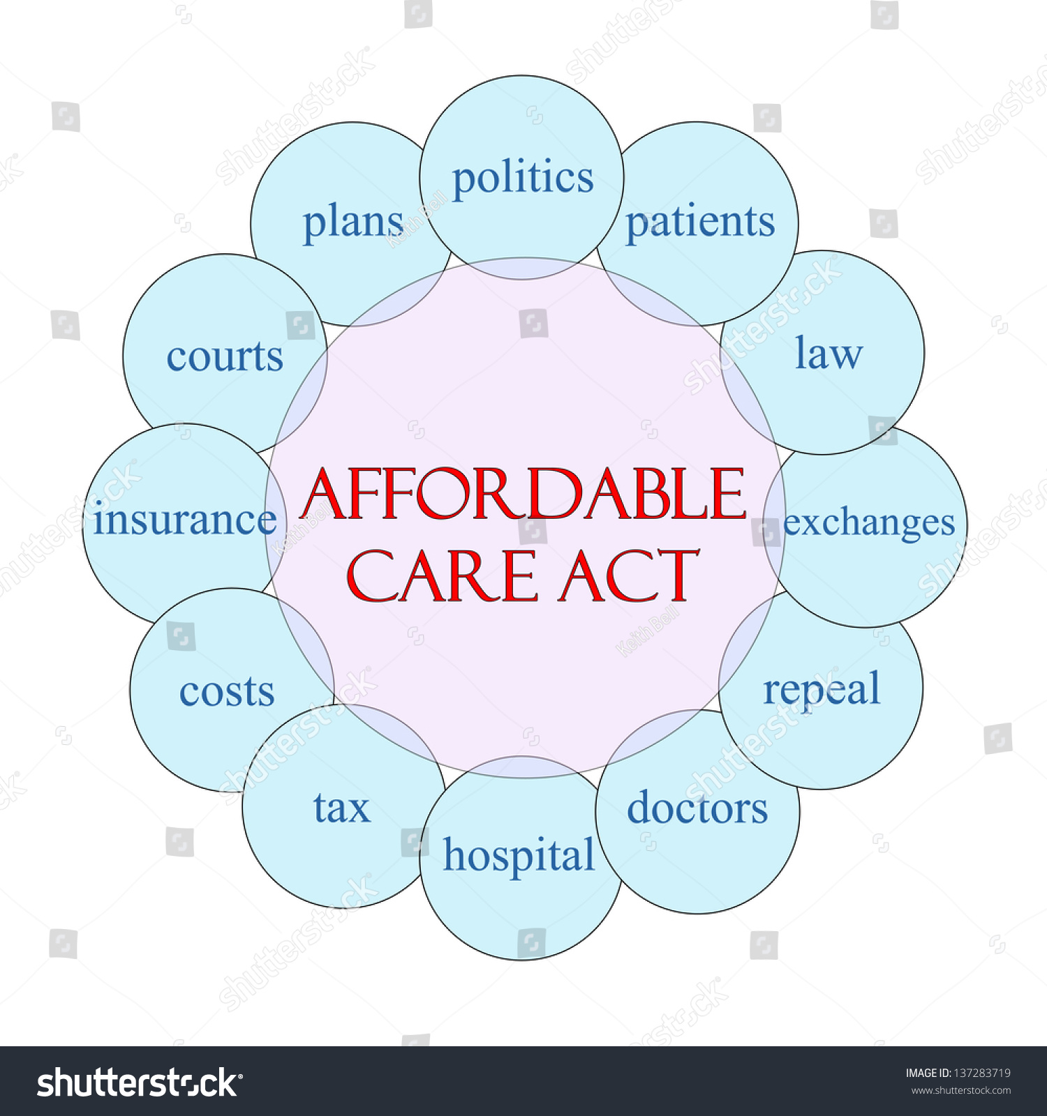 Affordable Care Act Concept Circular Diagram Stock Illustration ...