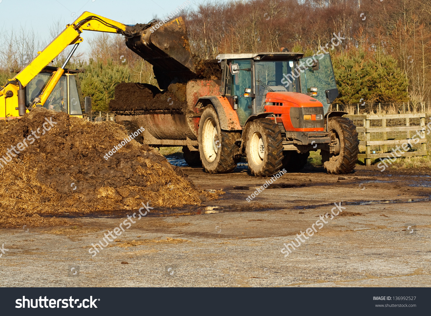 Agricultural Scene Of Farmer Loading His Commercial Muck Spreader With