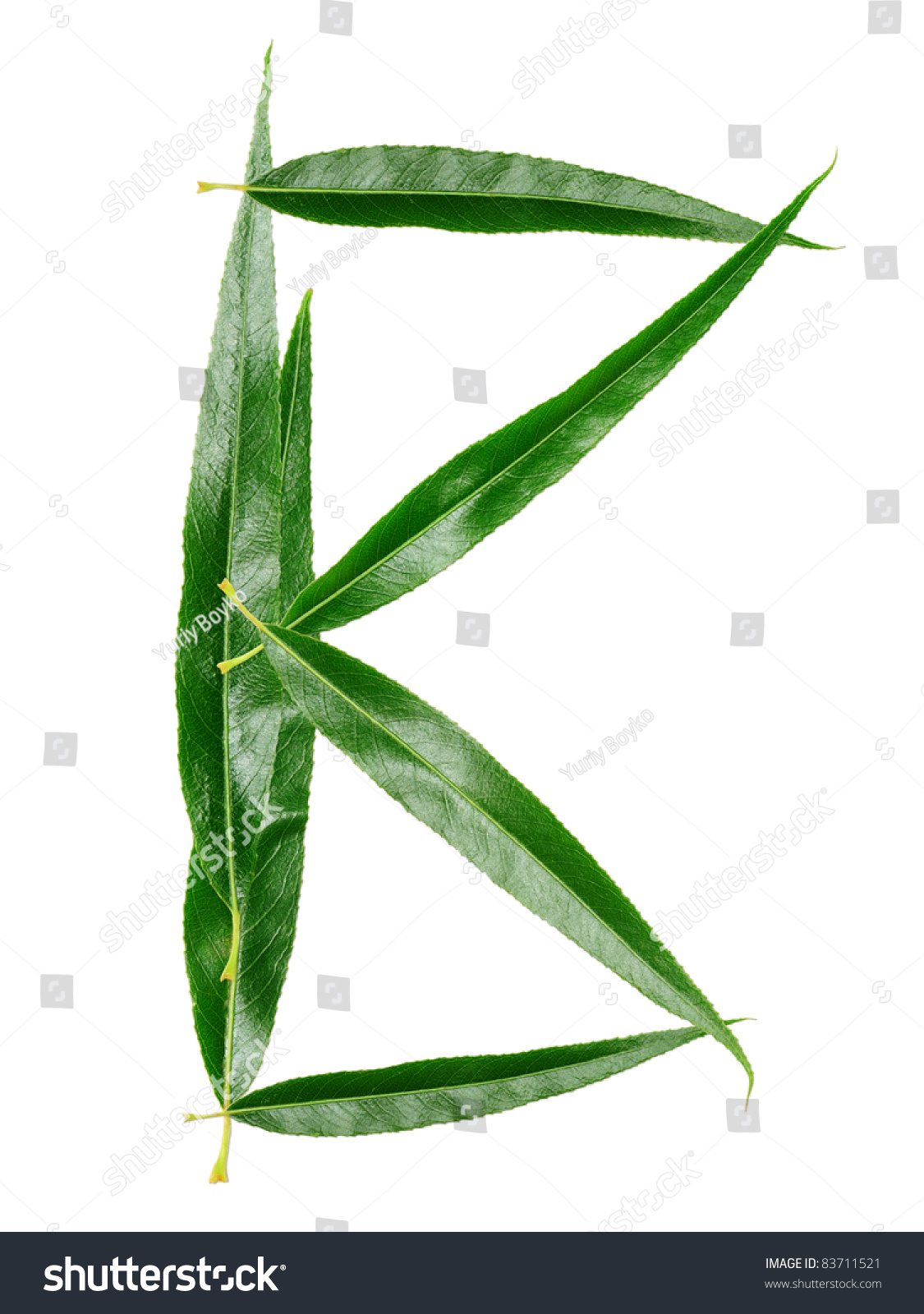 Alphabet Leaves Willow Letter B Stock Photo 83711521 - Shutterstock