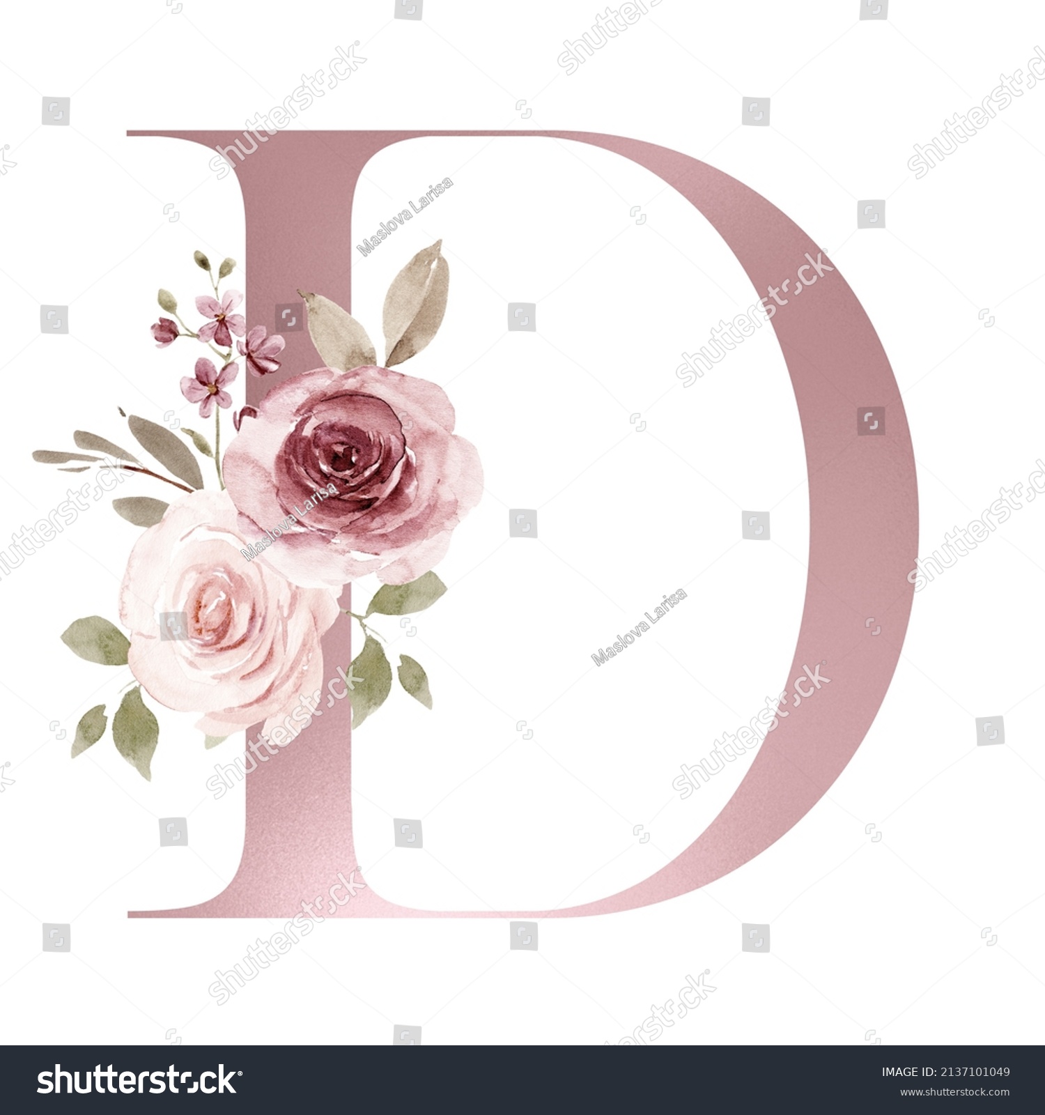 Alphabet Letter D Watercolor Flowers Leaf 库存插图 2137101049 Shutterstock