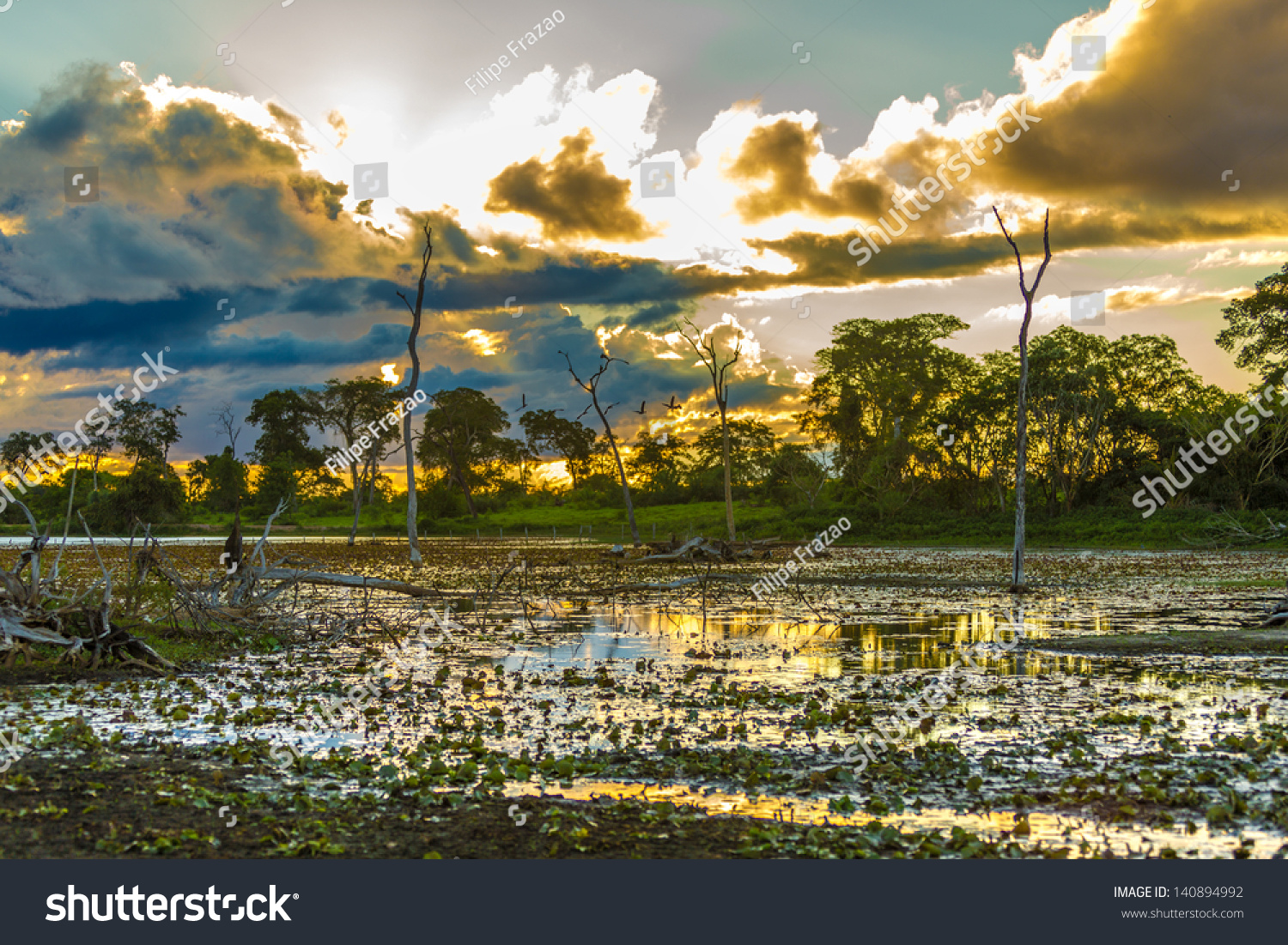 Amazing Pantanal River Pantanal Is One Of The Worlds Largest Tropical Wetland Areas Located 2655