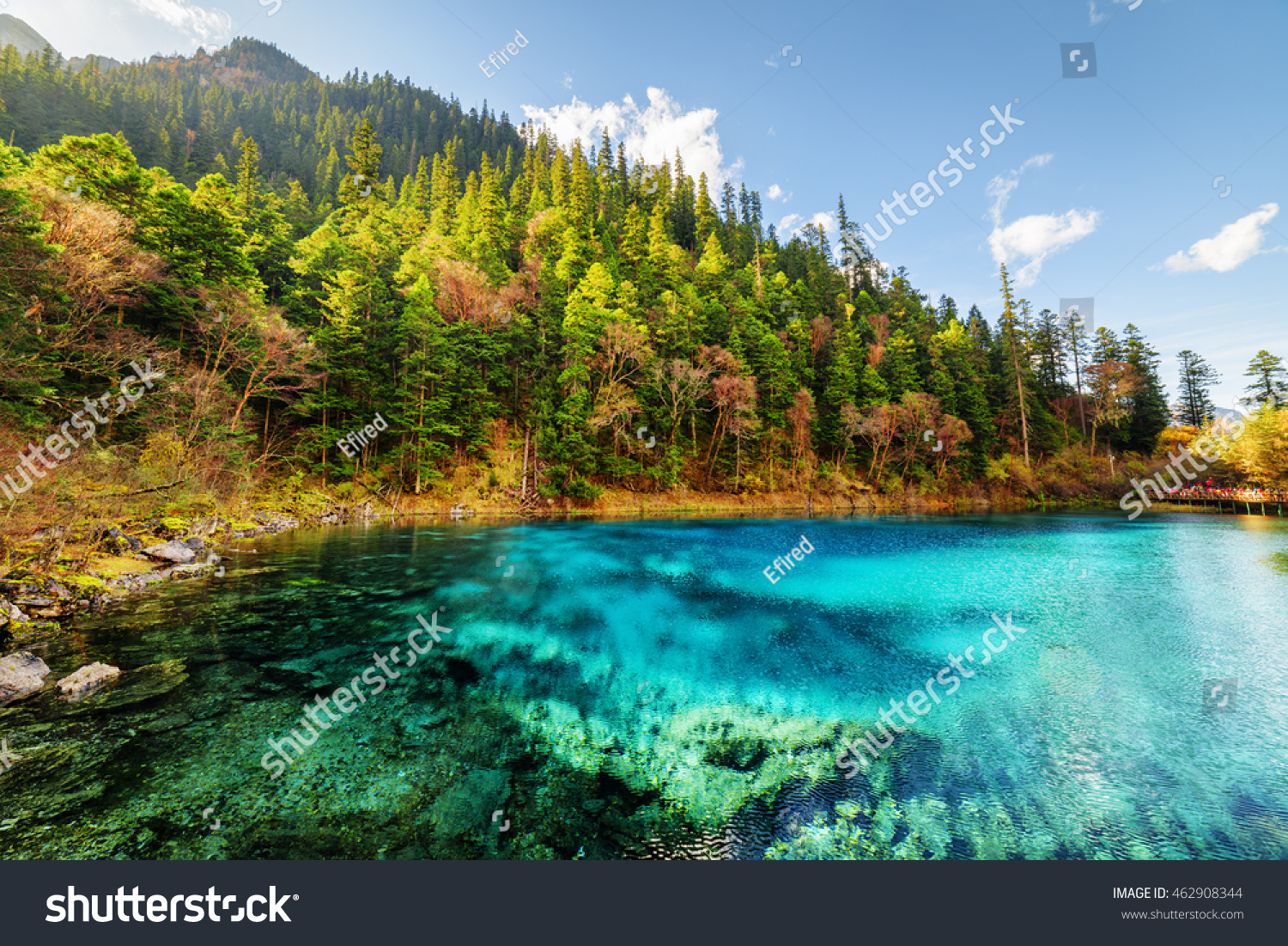 Amazing View Five Coloured Pool The Stock Photo 462908344 Shutterstock