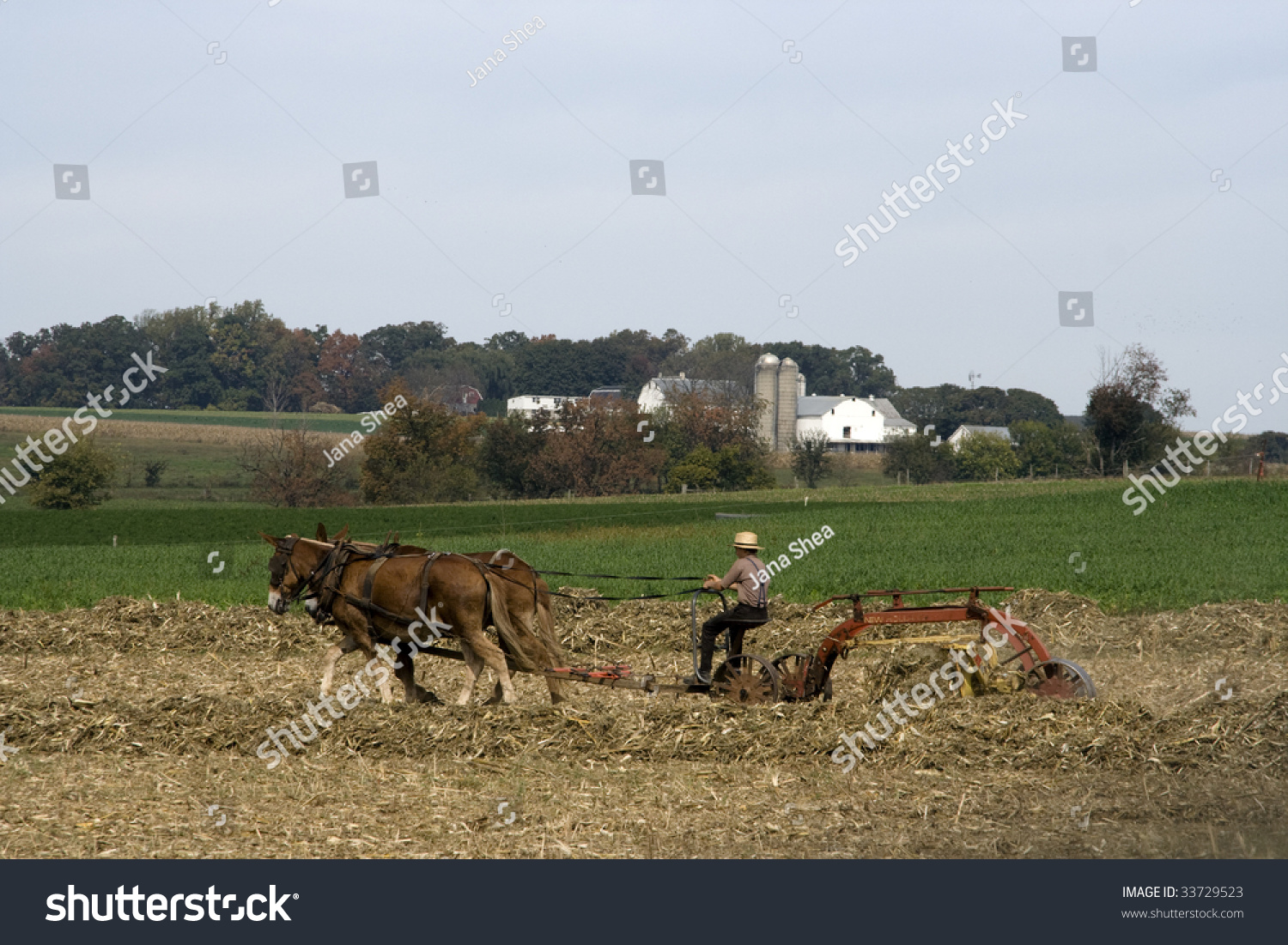 Amish Country Scene Stock Photo 33729523 : Shutterstock