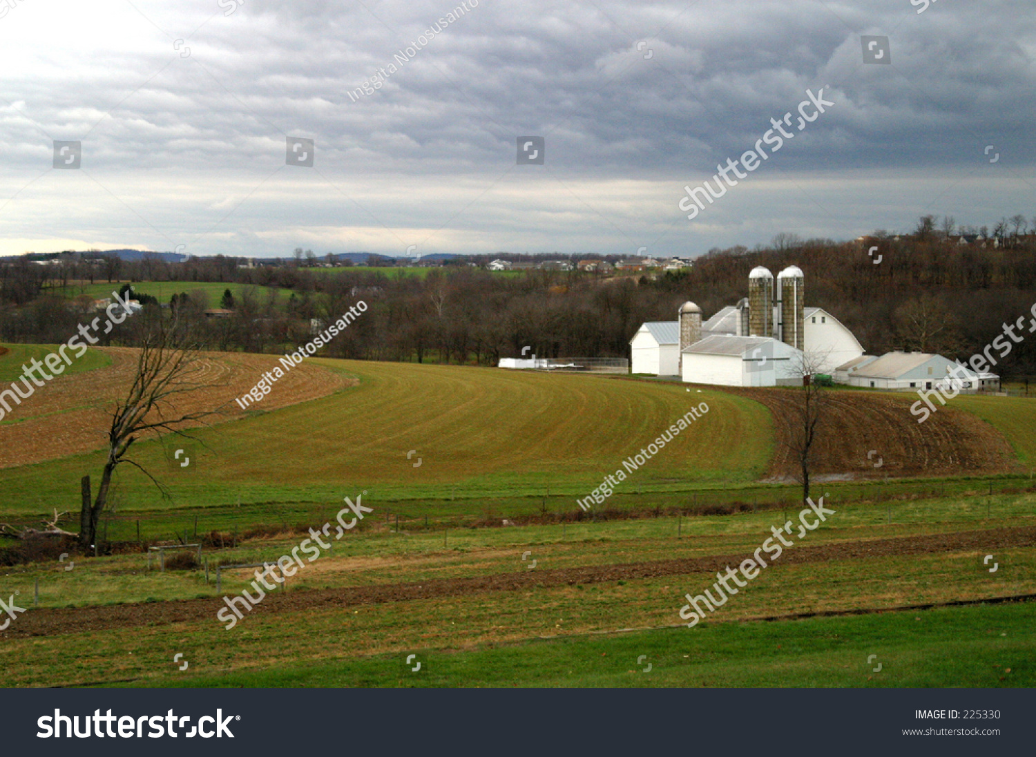 Amish Farm, Pennsylvania Stock Photo 225330 : Shutterstock