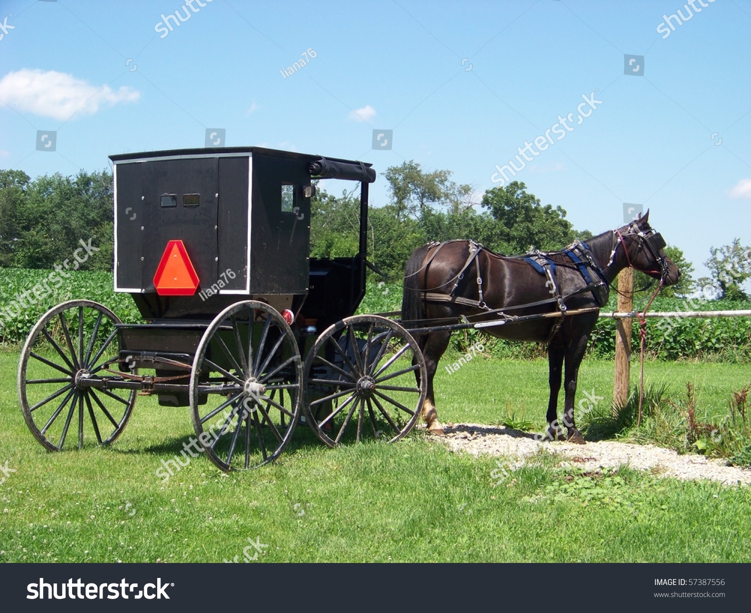 Amish Horse Buggy Stock Photo 57387556 Shutterstock