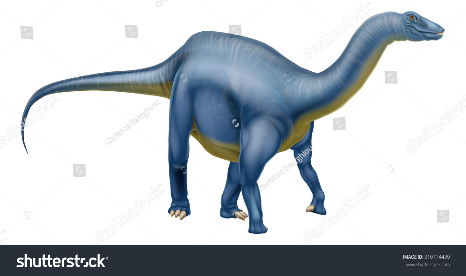 diplodocus family