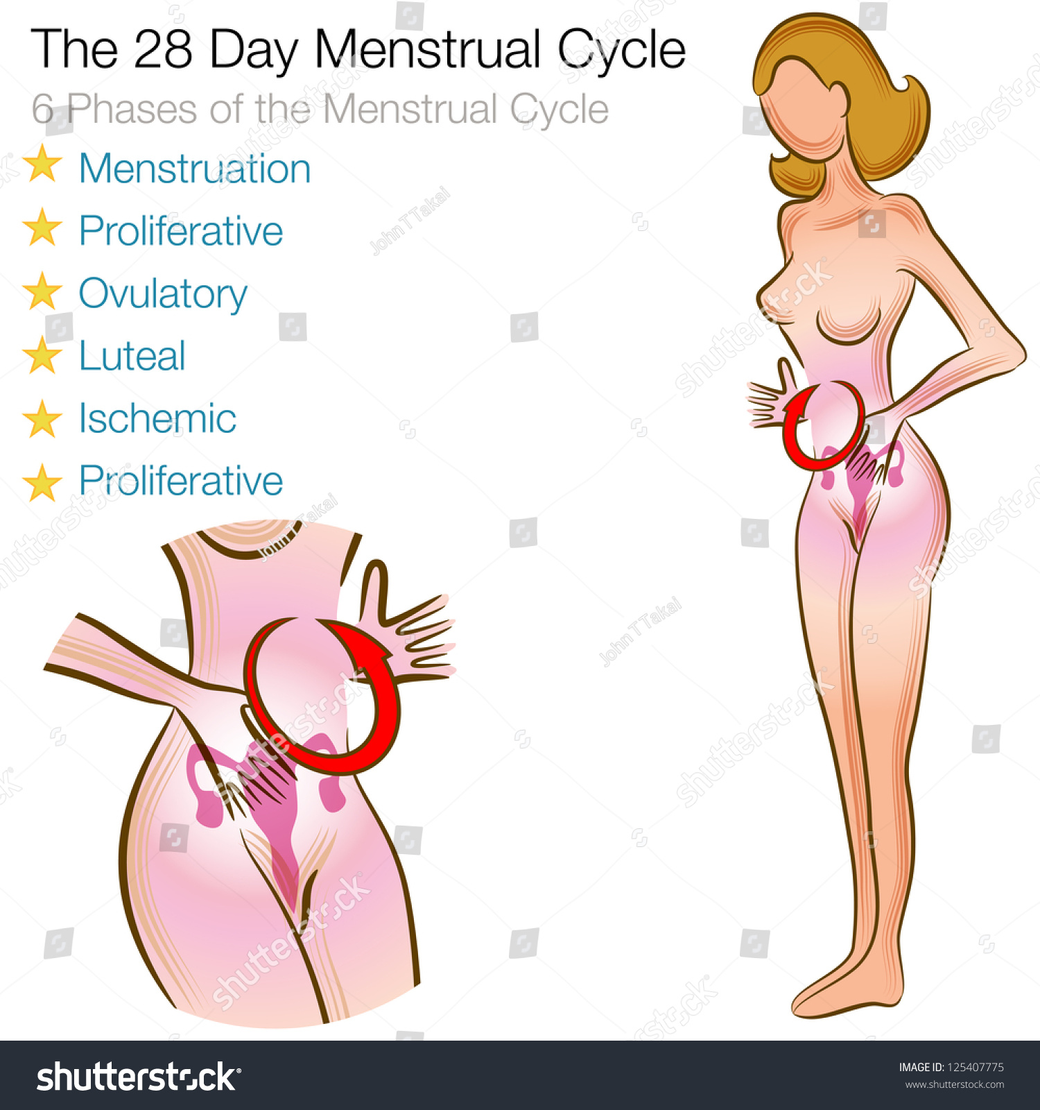 Teen Menstrual Cycle 43