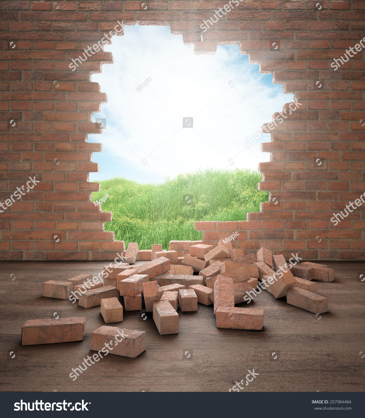 An Opening In A Brick Wall Stock Photo 207984484 Shutterstock