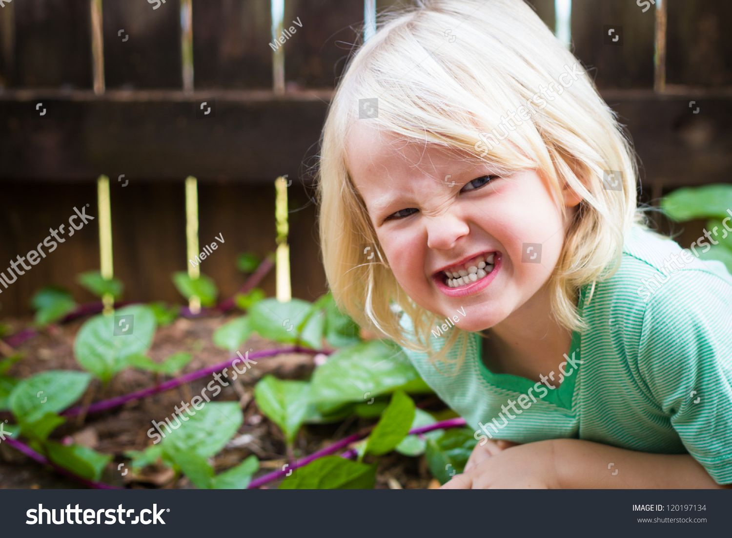 Save to a lightbox - stock-photo-angry-child-outdoors-in-the-garden-pulling-a-mean-face-120197134