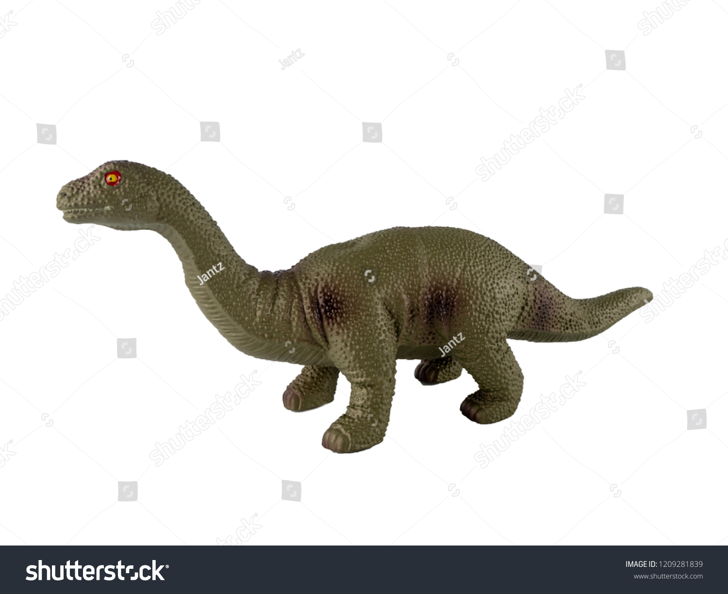 Apatosaurus Dinosaurs Rubber Toy Isolated On Stock Photo