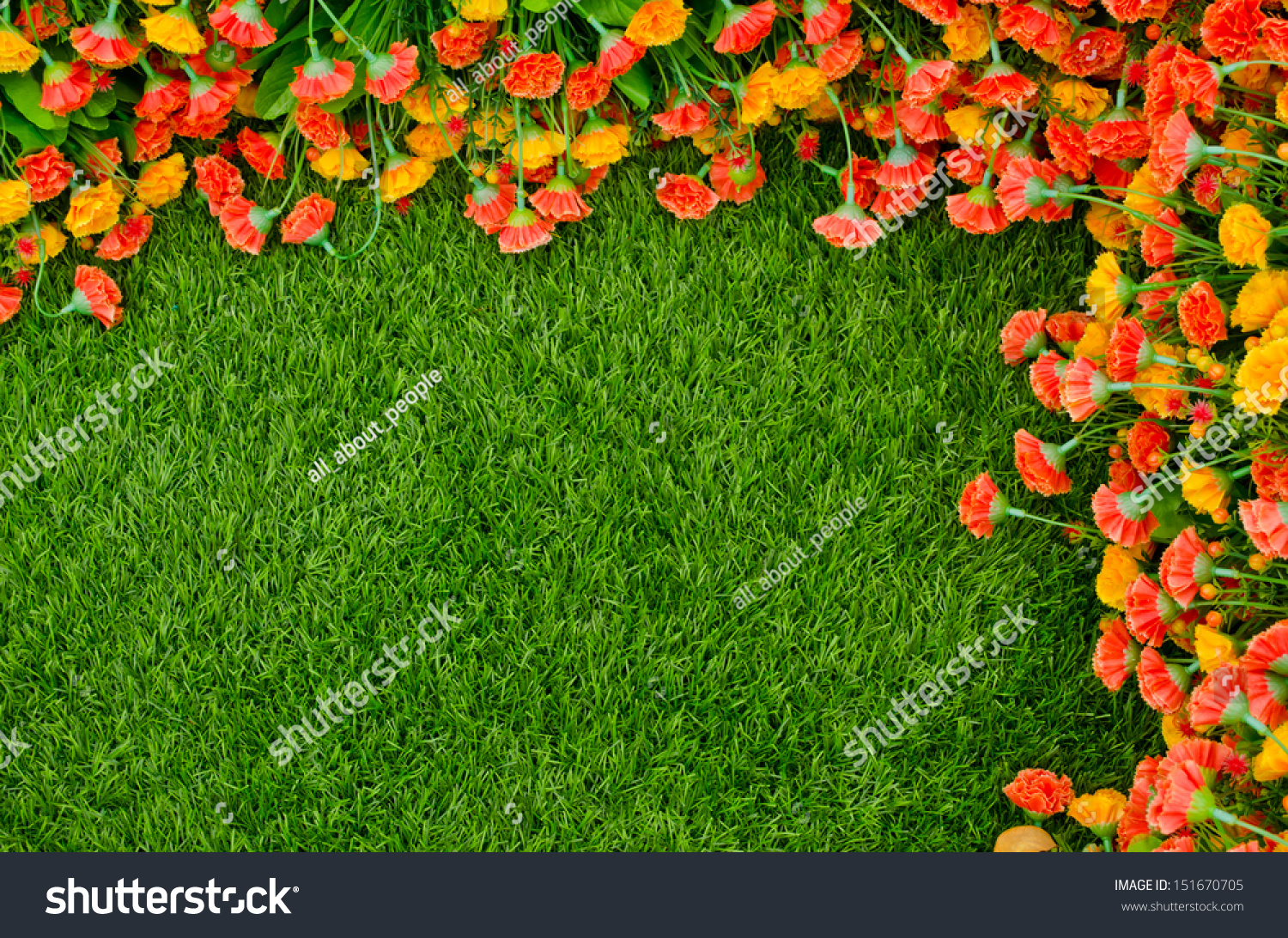 Artificial Grass Field Flowers Top View Stock Photo ...