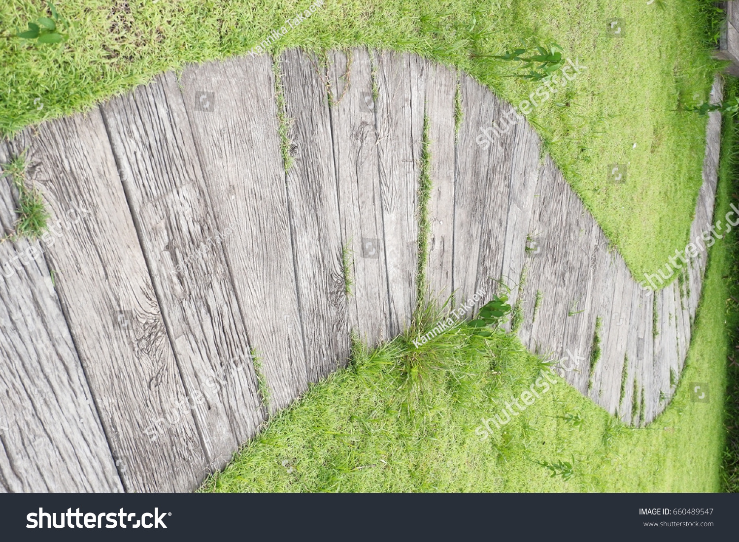 Athway Gardengreen Lawns Bricks Pathways Stock Photo