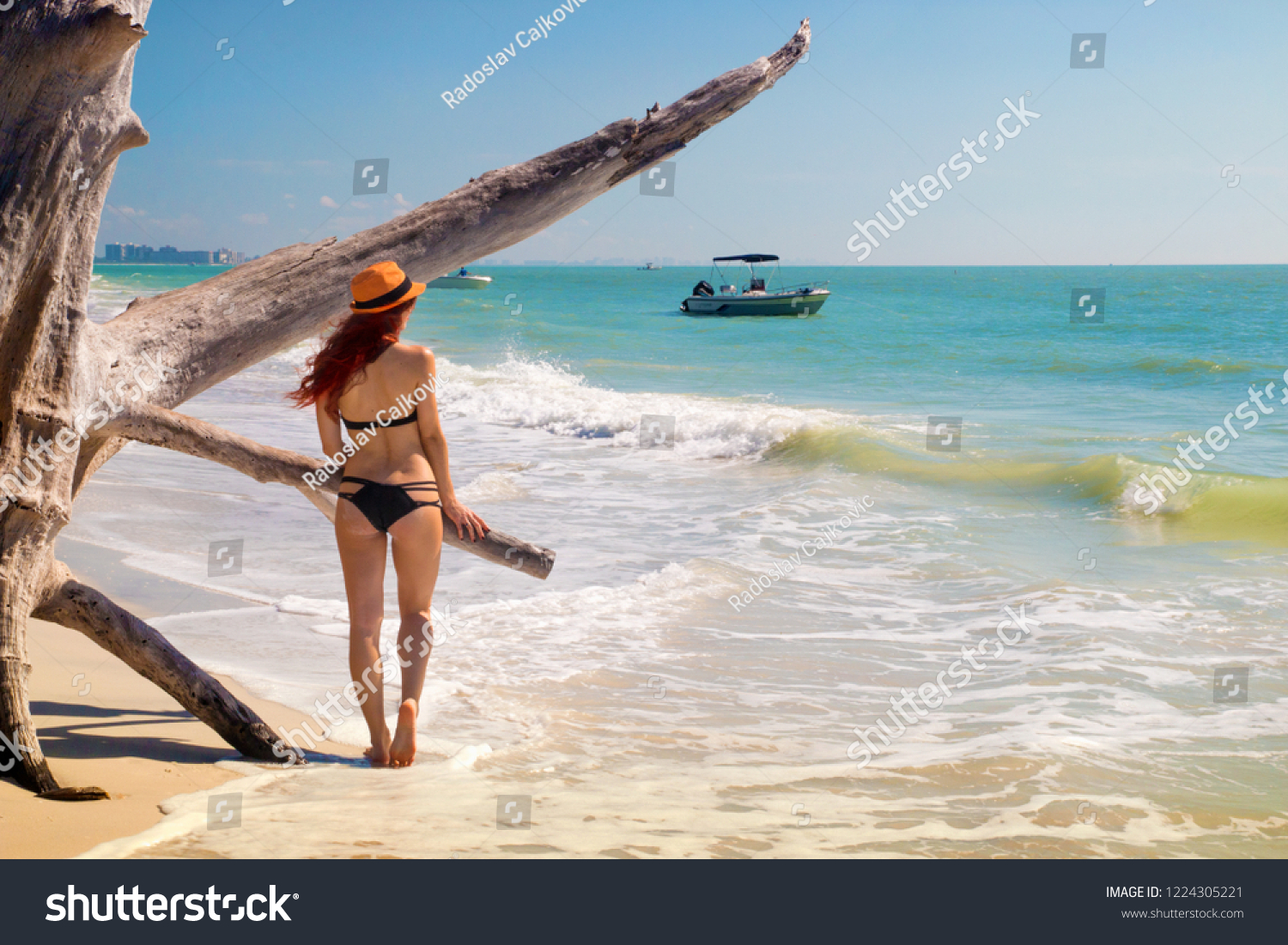 Attractive Sunbathing Bikini Girl Back View Stock Photo