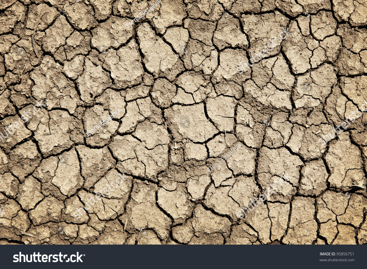 Background Dry Cracked Soil Dirt Earth Stock Photo 95856751 Shutterstock