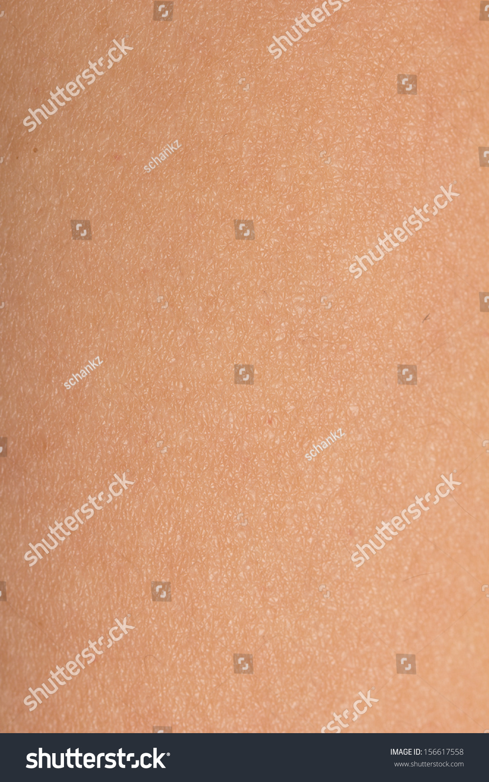 background human skin macro stock photo 172610195 background of the human skin macro stock photo 156617558 background human skin macro stock photo 172610195 background of the human skin macro stock photo 156617558
