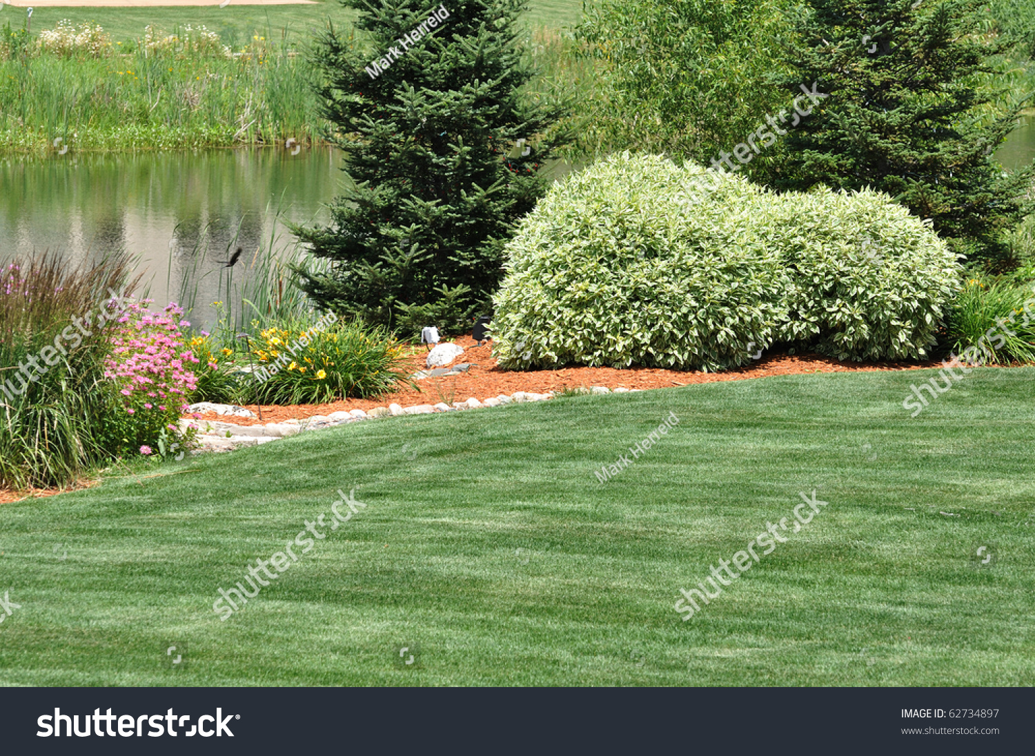 Backyard Landscaping With Lawn And Pond Stock Photo 62734897 : Shutterstock