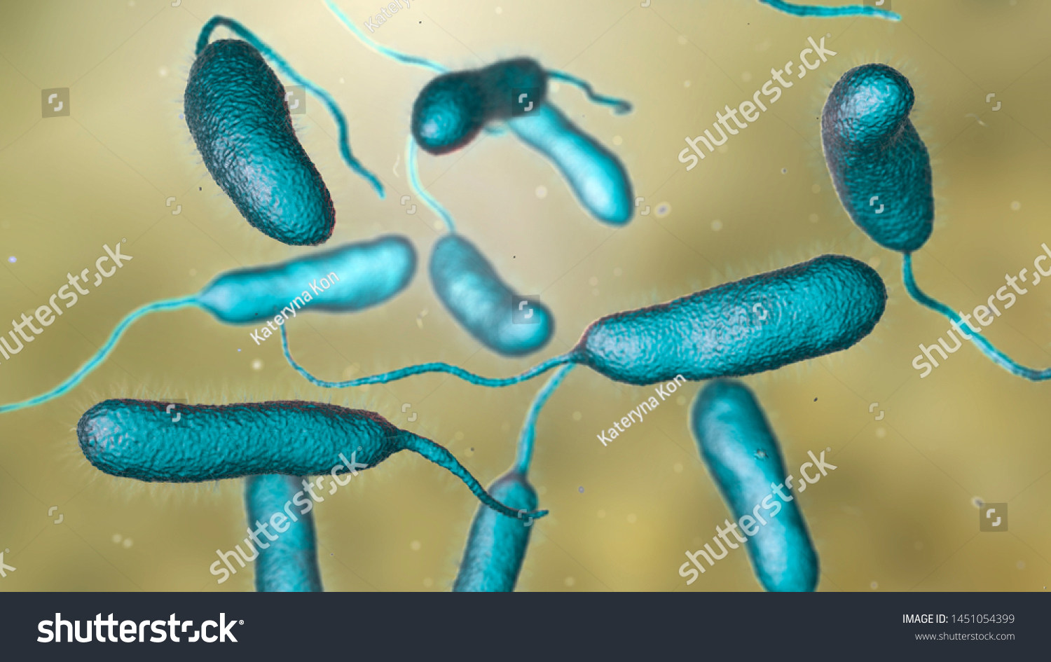 62 Vibrio Parahaemolyticus Aiheista Kuvaa Kuvia Arkistovalokuvia Ja